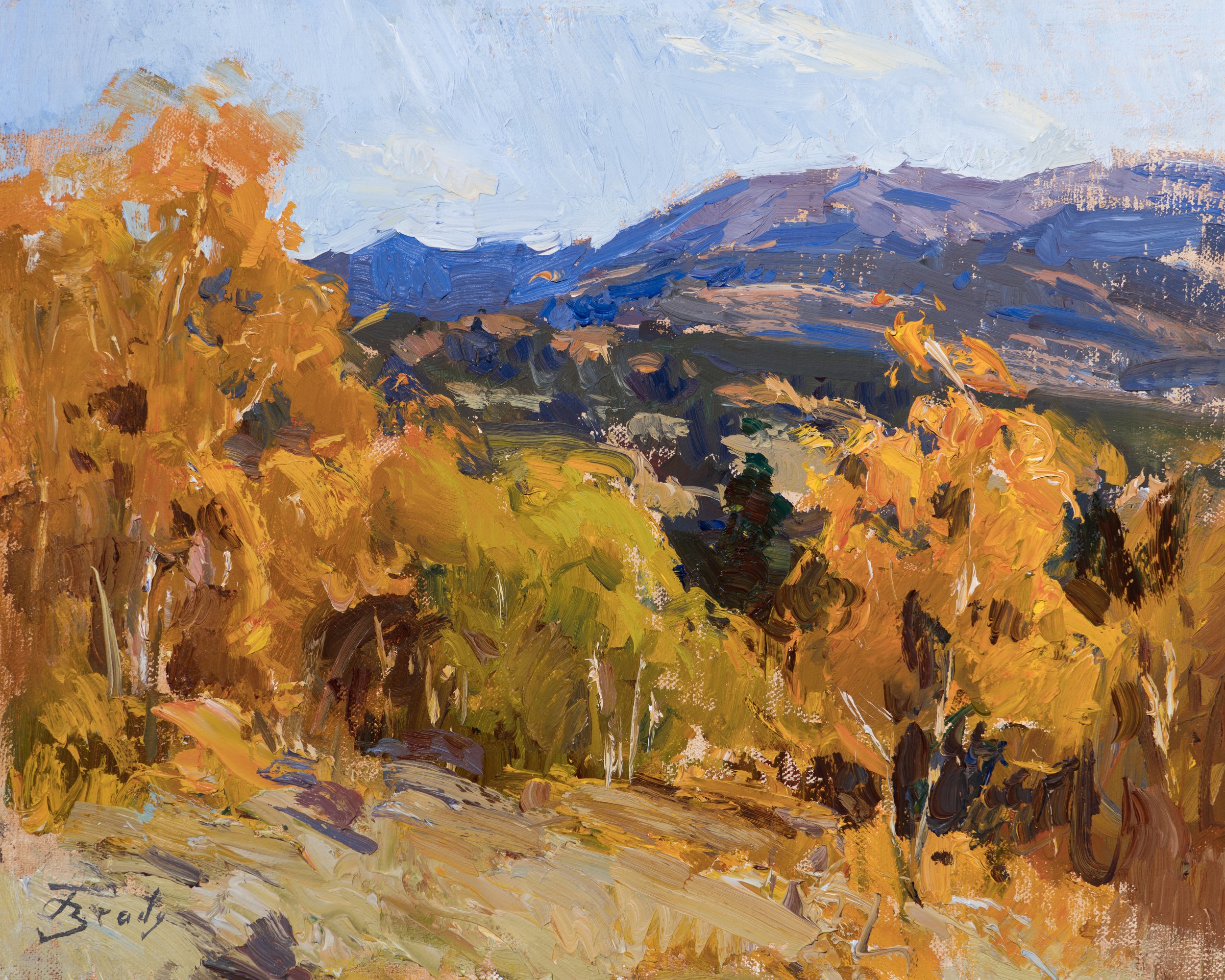 JARED BRADY FINE ART