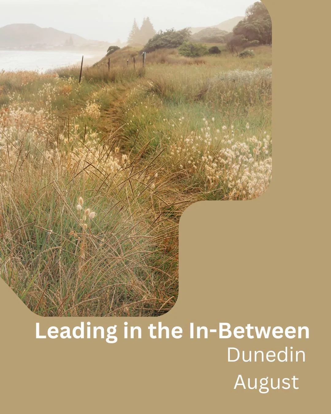 Leading in The In-Between - Dunedin - August