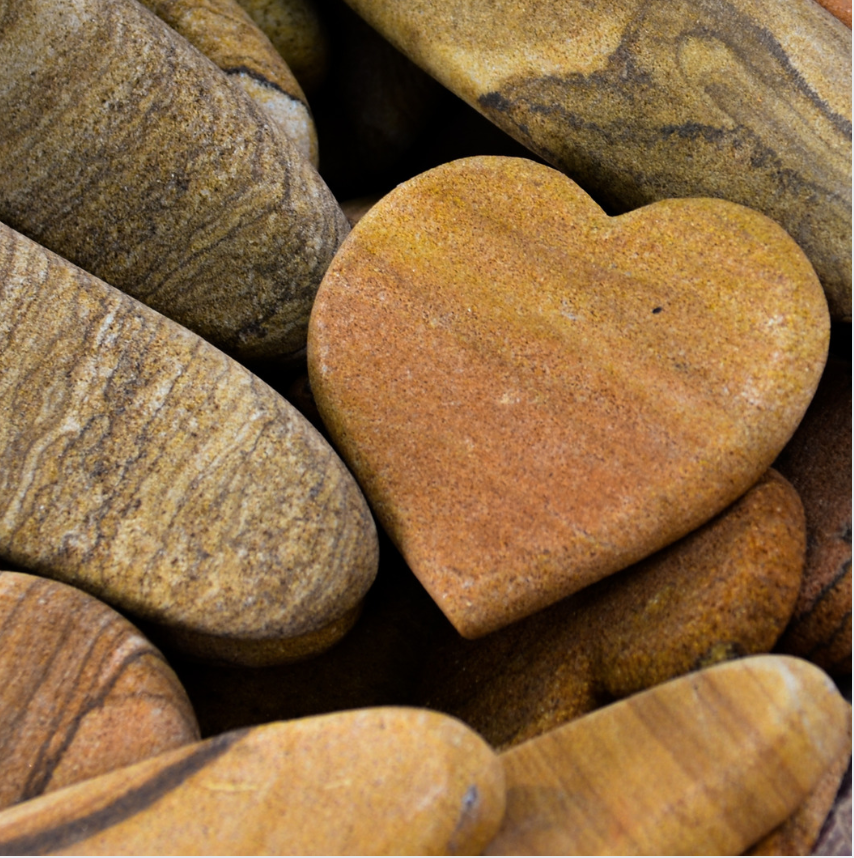 Anchoring Tamariki: The Look of Love in Everyday Transitions