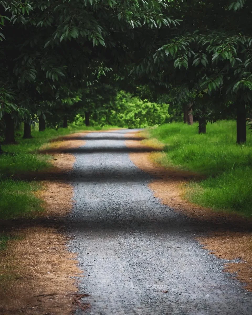 Lately, in our mentoring conversations with leaders, a strong theme keeps surfacing.
They&rsquo;re not asking for more tools, frameworks, or ready-made answers.
They&rsquo;re asking for space.
Space to think out loud.
Space to name what feels heavy.
