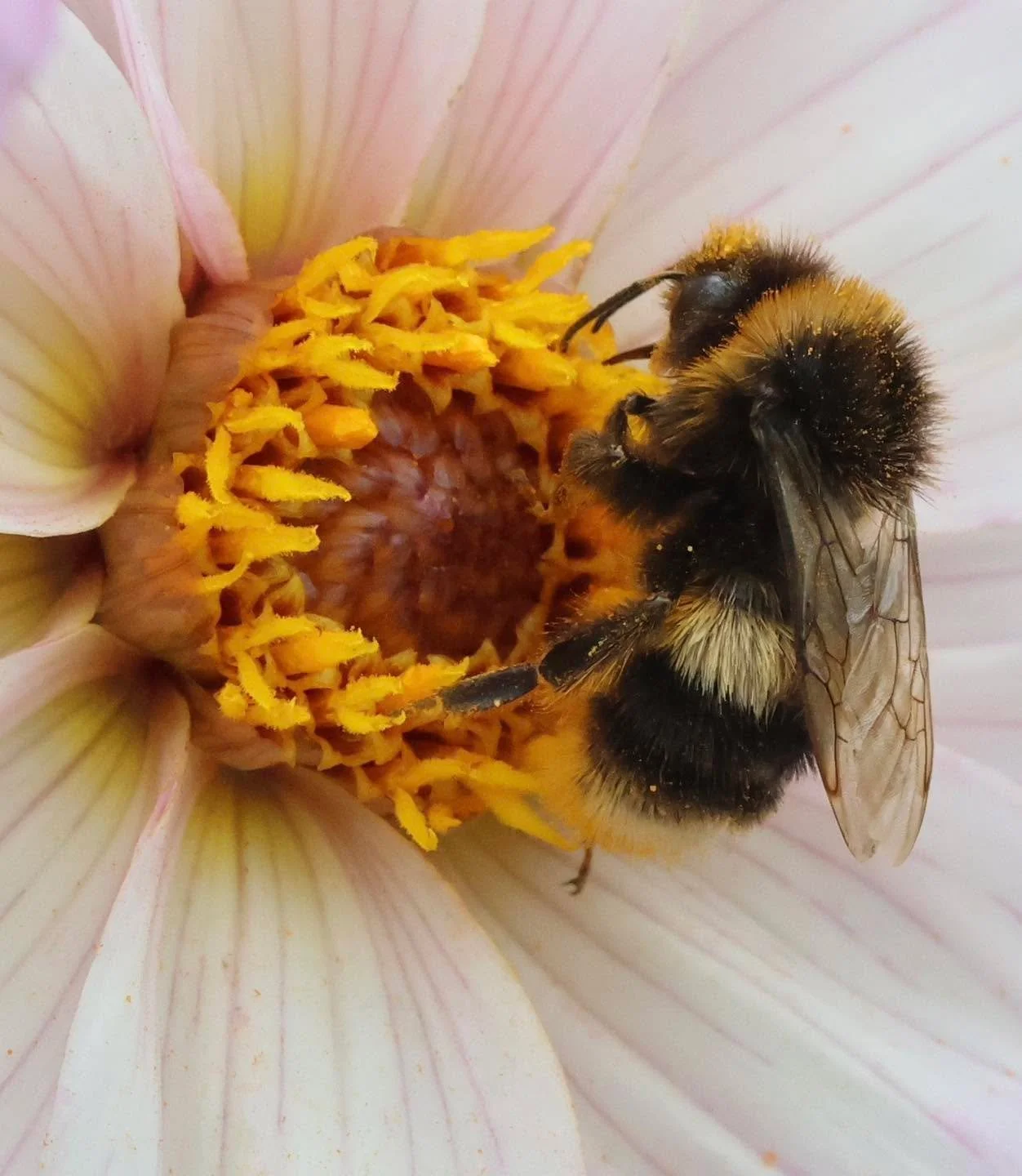 Leadership takes courage.
Not the loud kind - the quiet kind that allows reflection, honesty, and not having all the answers.

We often notice leaders holding themselves to impossible standards.
What might shift if vulnerability was seen as strength?