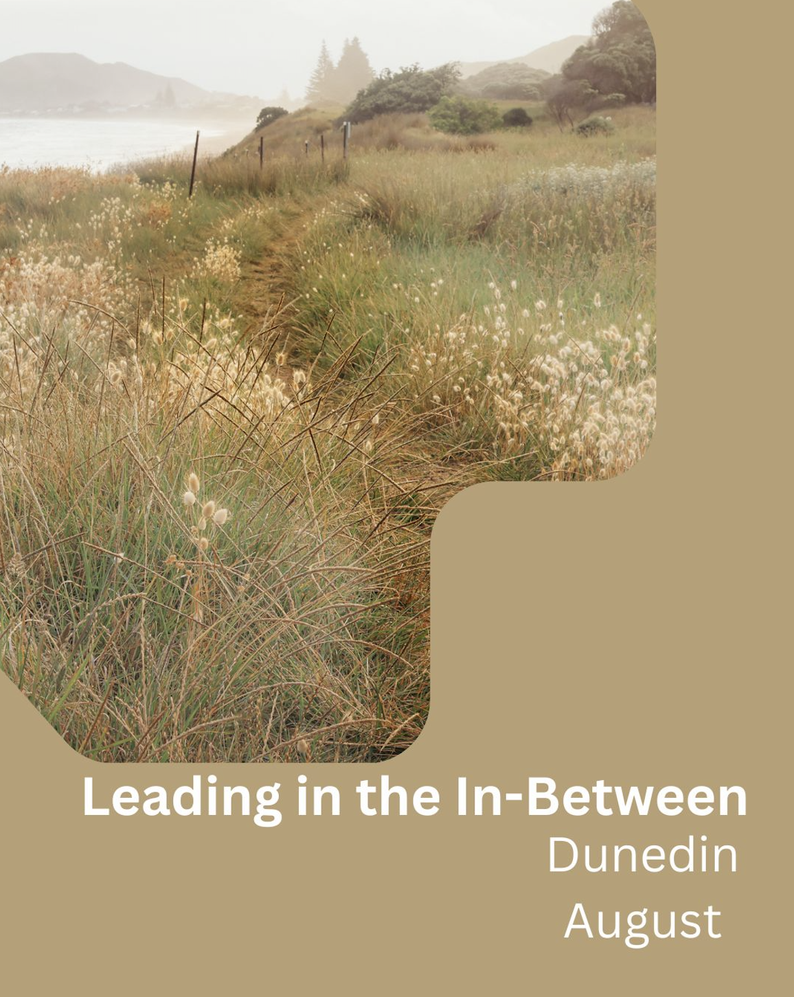 Leading in The In-Between - Dunedin