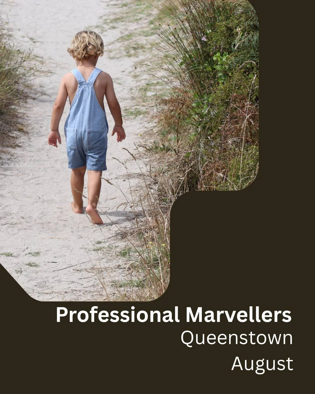 The Professional Marveller - Queenstown - August