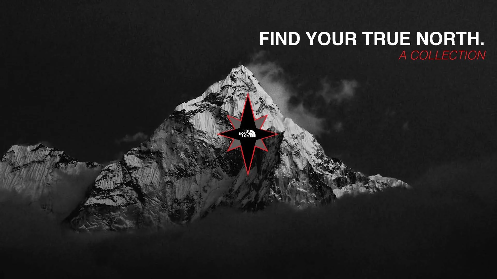 Mock North Face Campaign (Logo design)