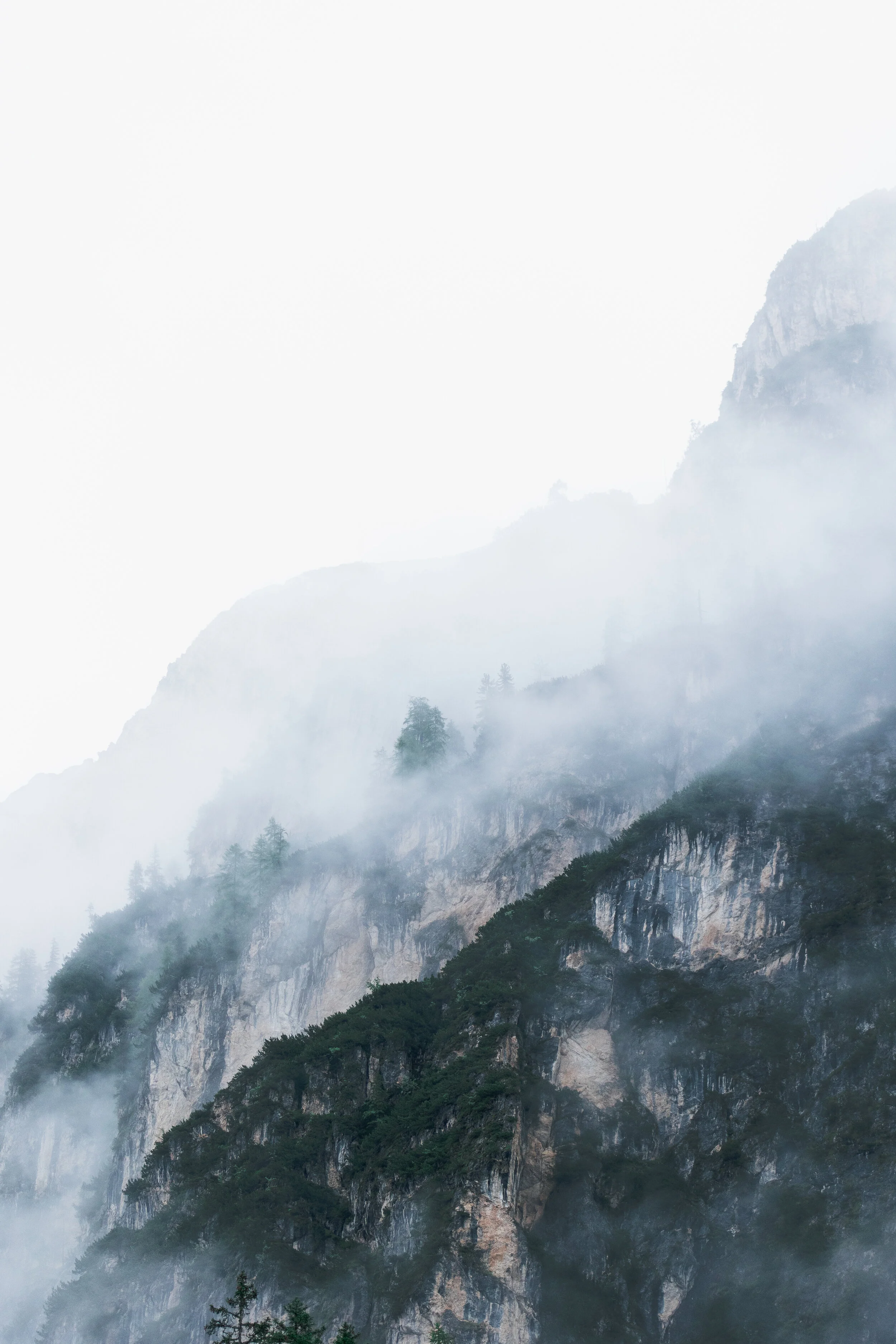 land (1 of 1).jpg