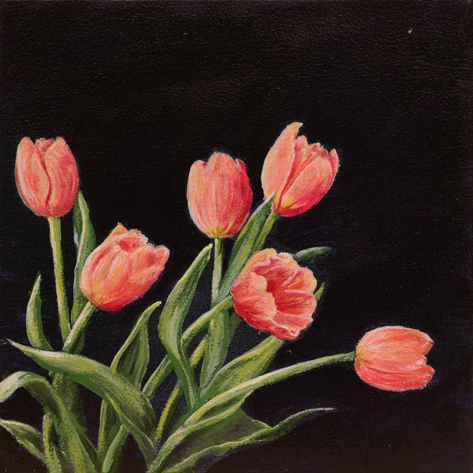 Linda Klippenstein_No Apology.jpeg