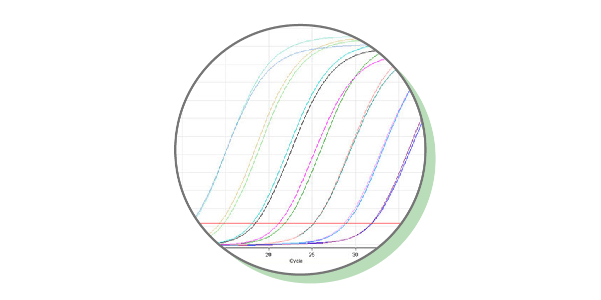 Cel Analytical