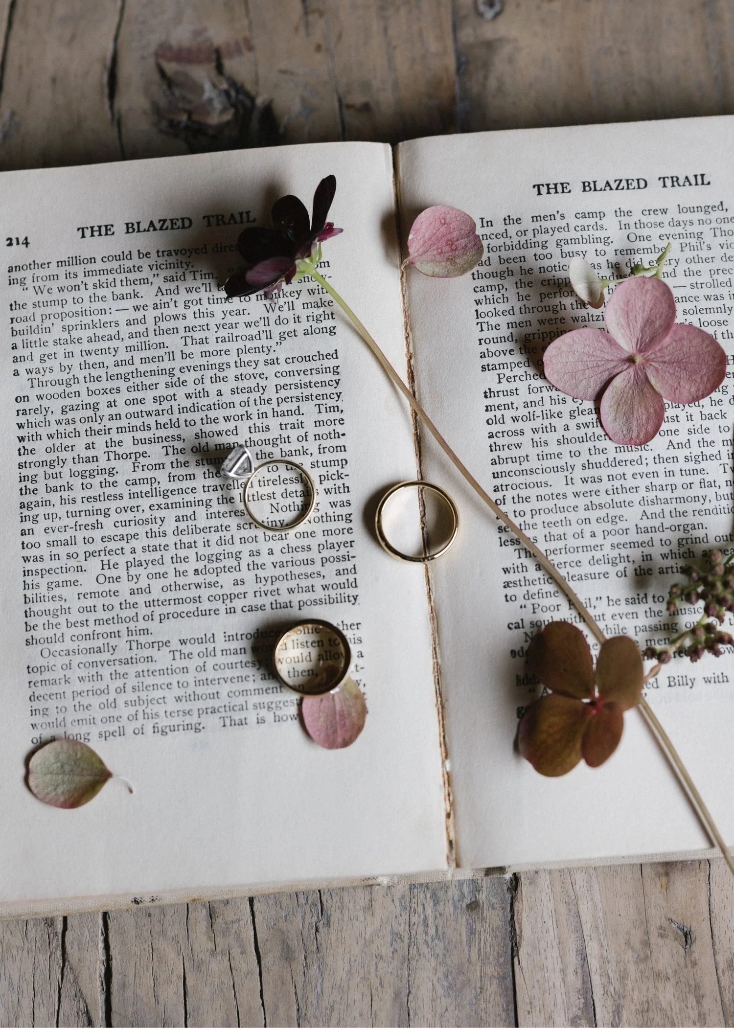 Wind Mountain Ranch Wedding00006.jpg