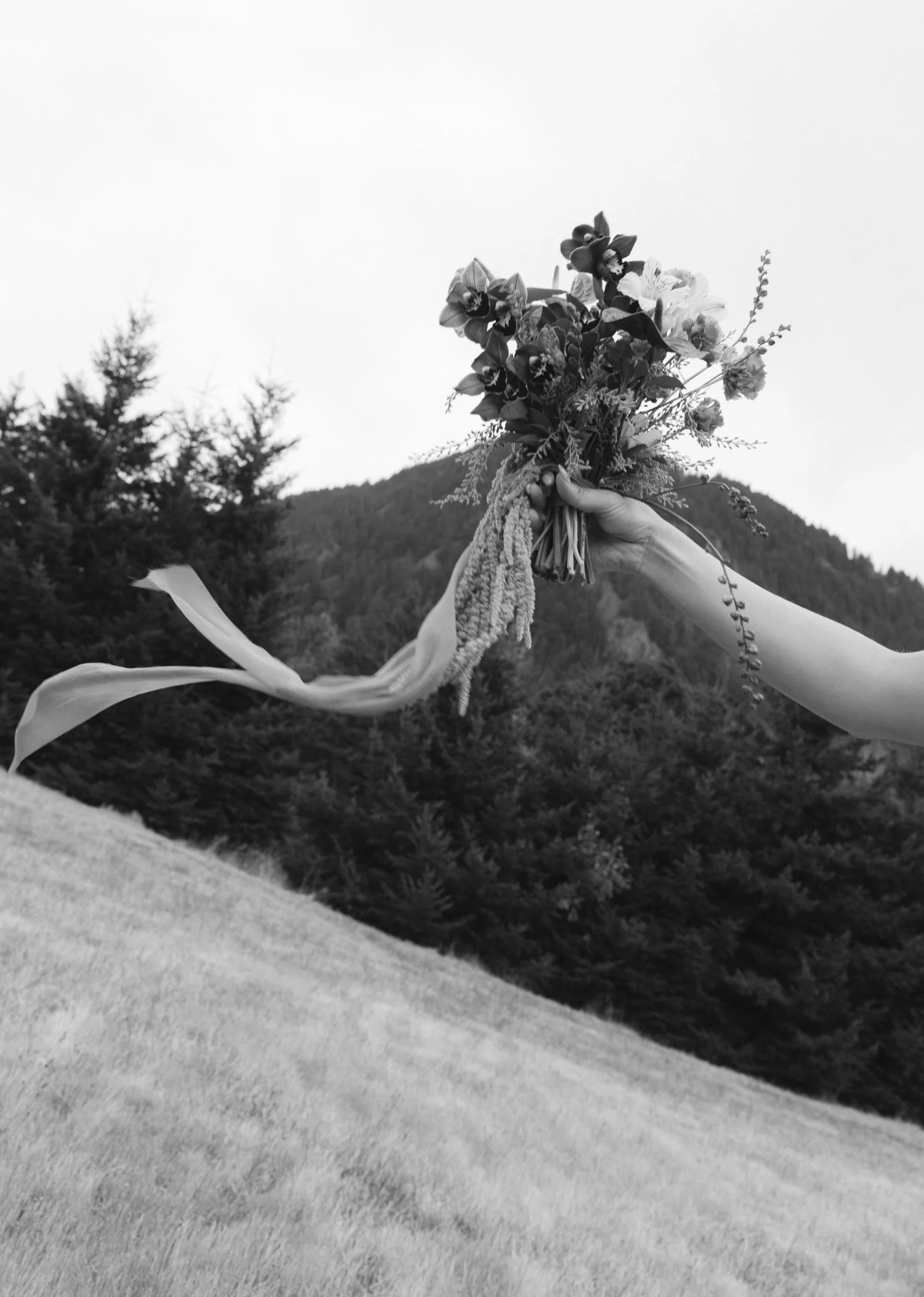 Wind Mountain Ranch Wedding00020.jpg