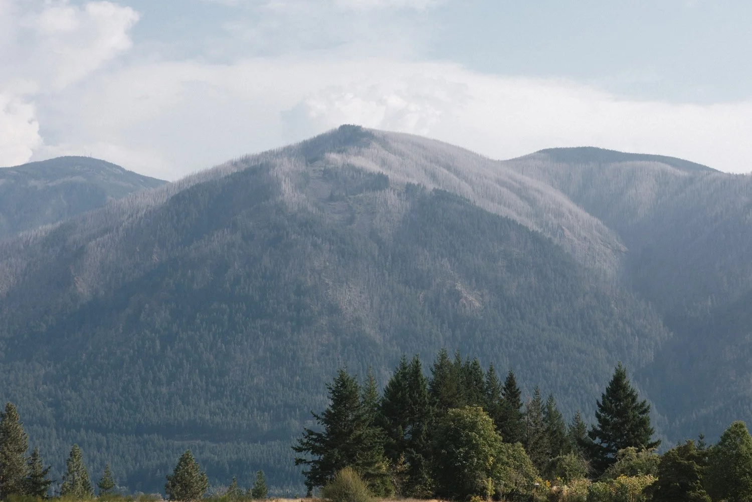 Wind Mountain Ranch Wedding00062.jpg