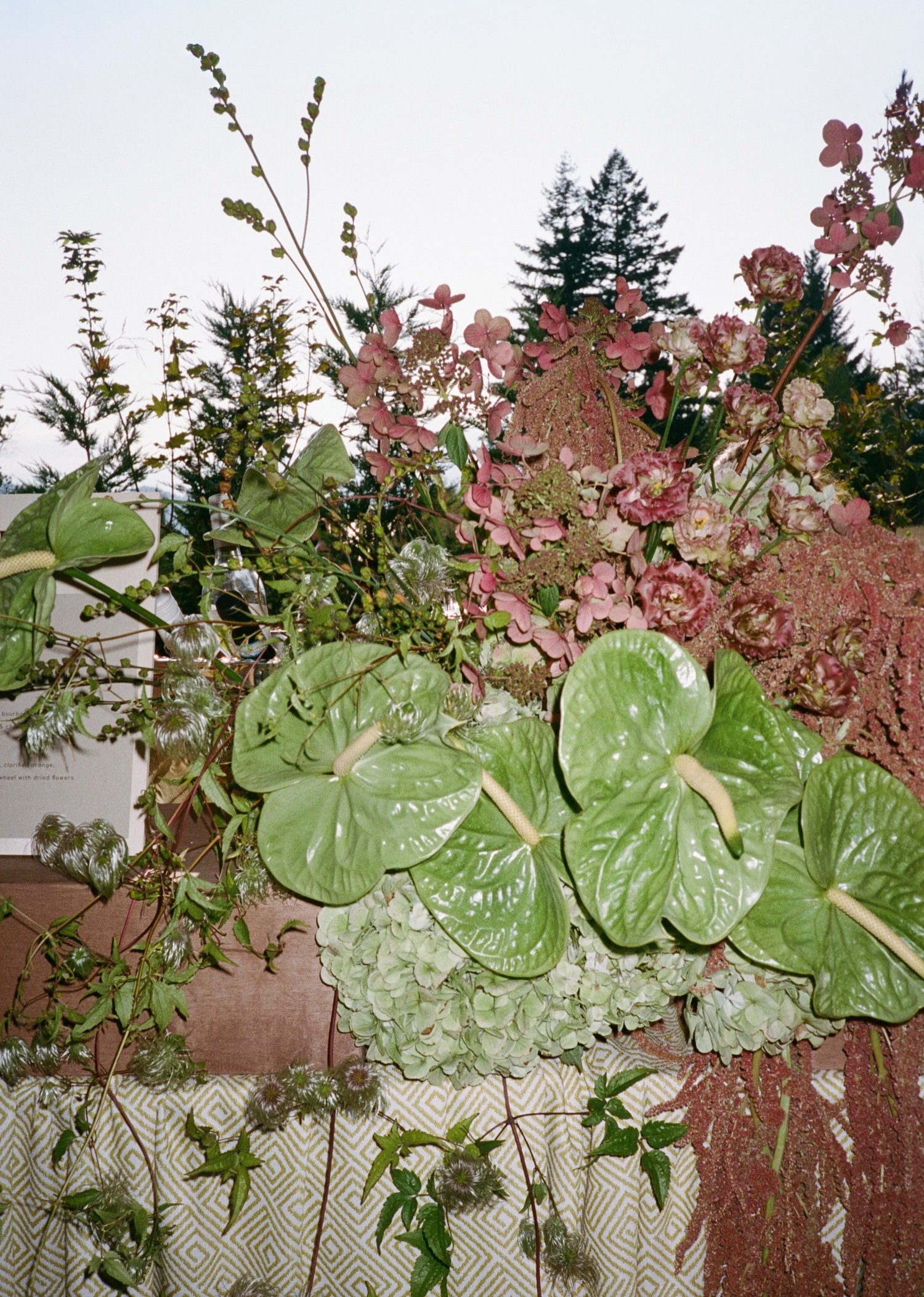 Wind Mountain Ranch Wedding00107.jpg