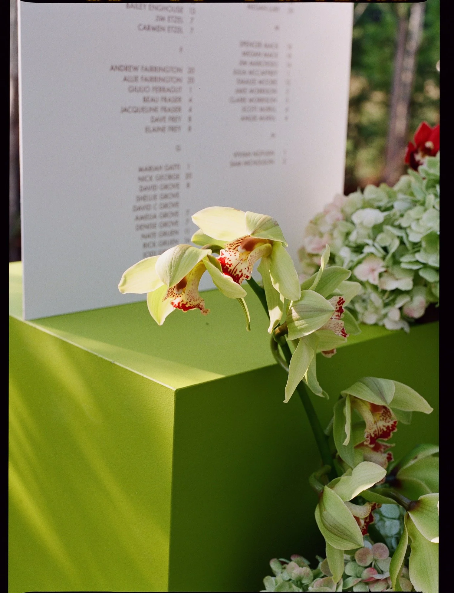 Wind Mountain Ranch Wedding00110.jpg