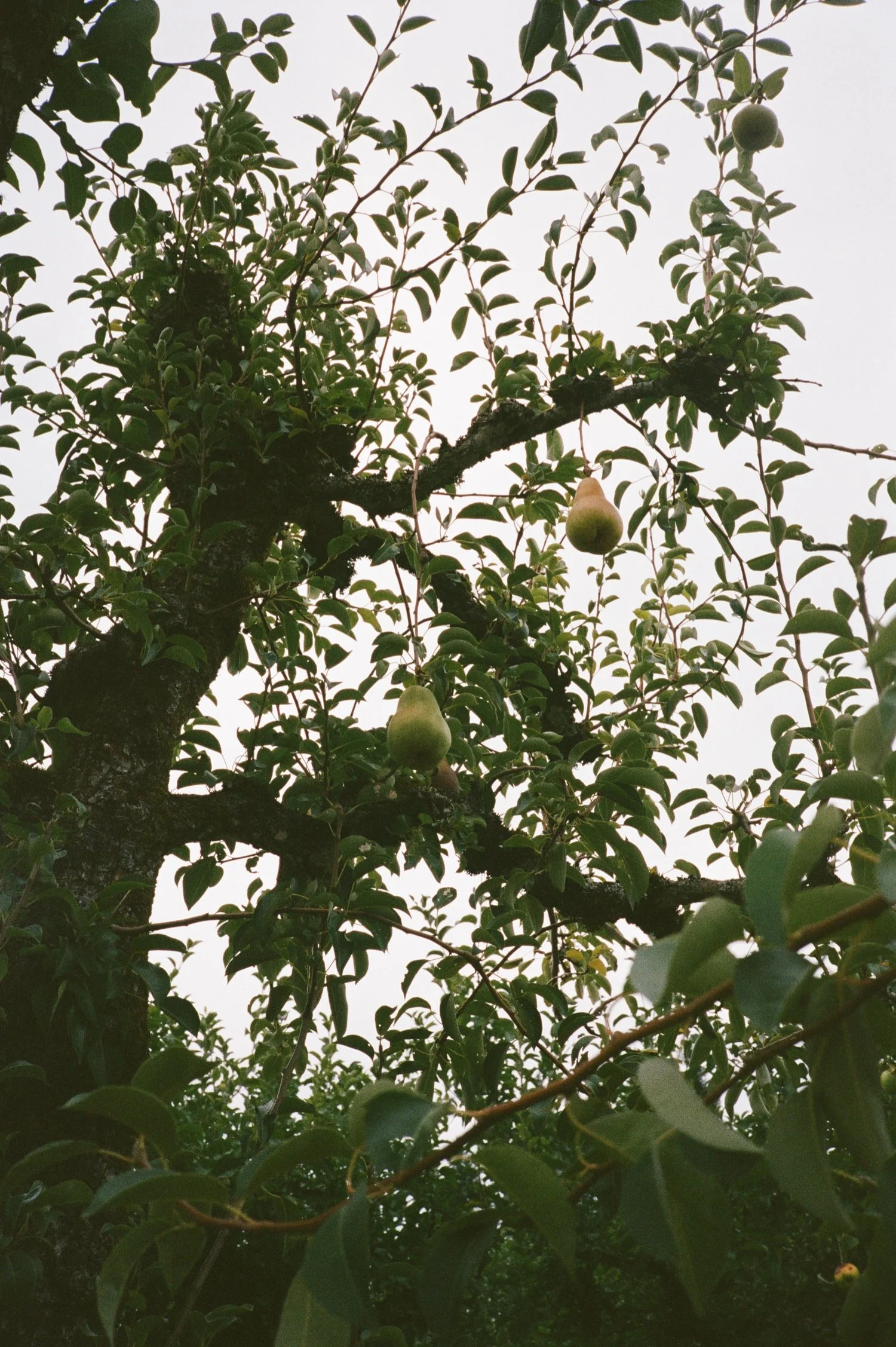 Wind Mountain Ranch Wedding00135.jpg