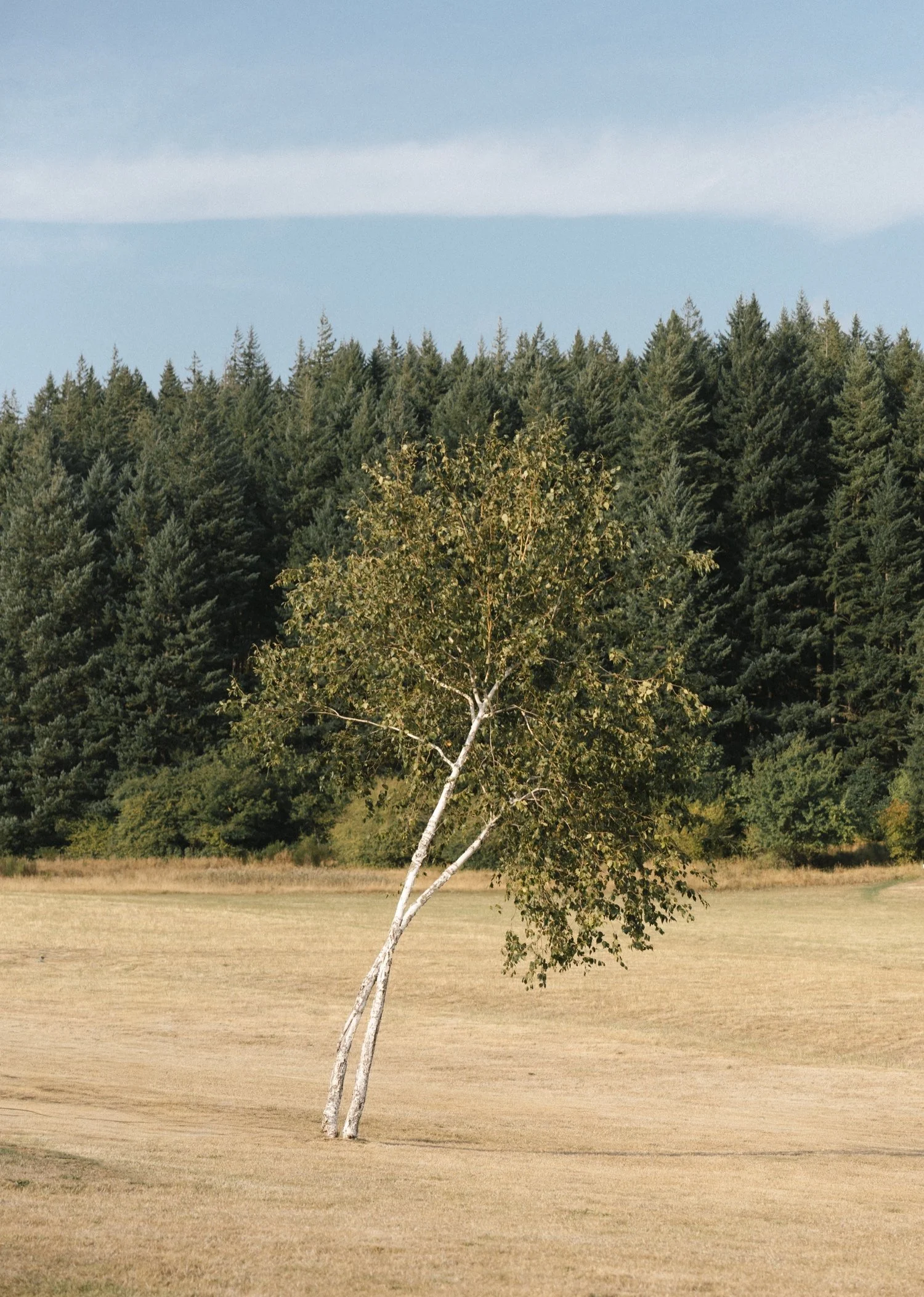 Wind Mountain Ranch Wedding00137.jpg