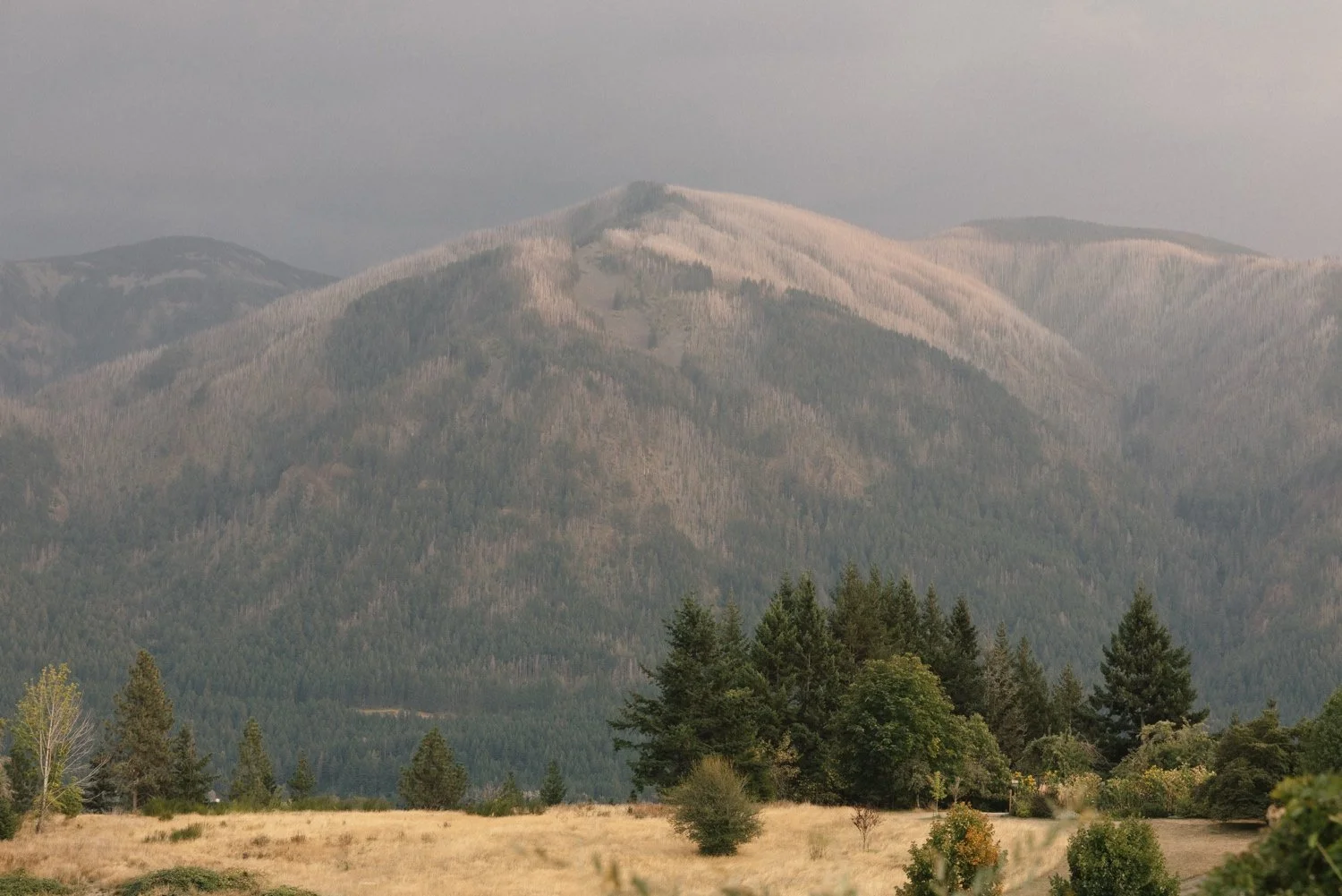 Wind Mountain Ranch Wedding00156.jpg