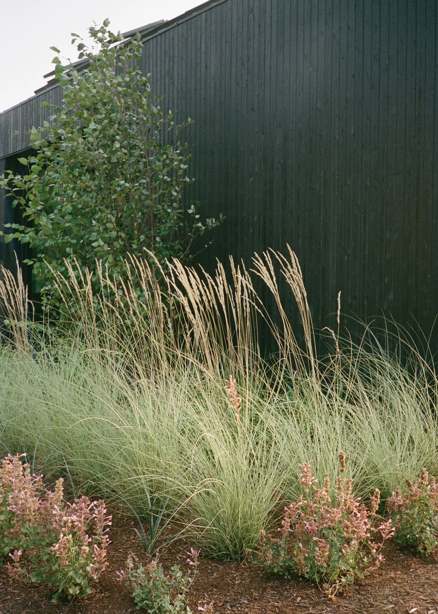 Wind Mountain Ranch Wedding00157.jpg