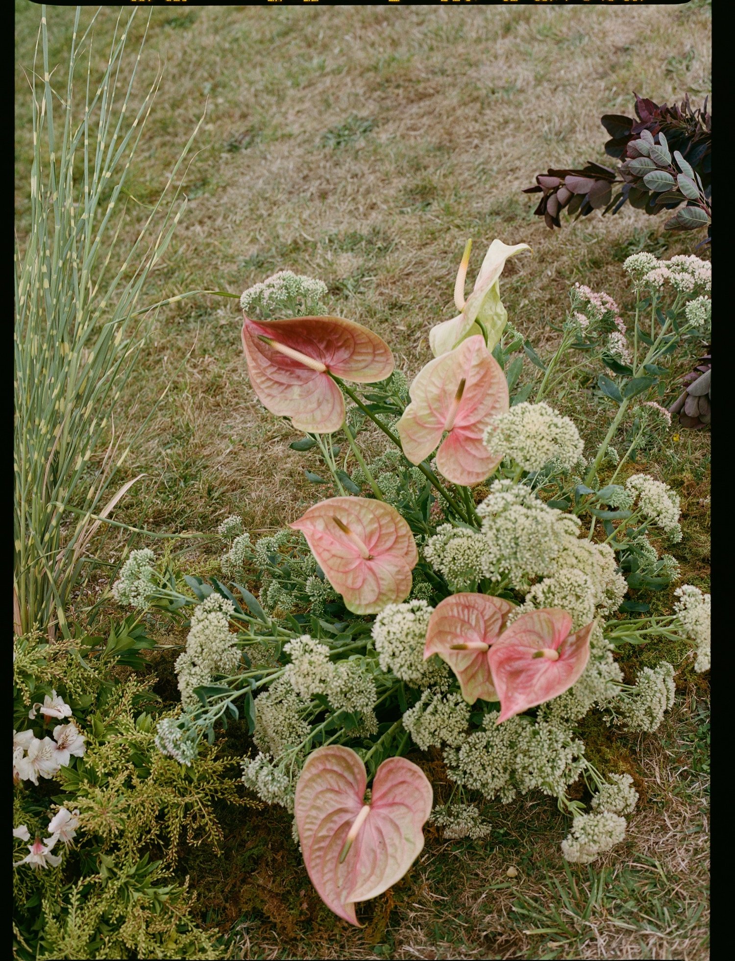 Wind Mountain Ranch Wedding00045.jpg