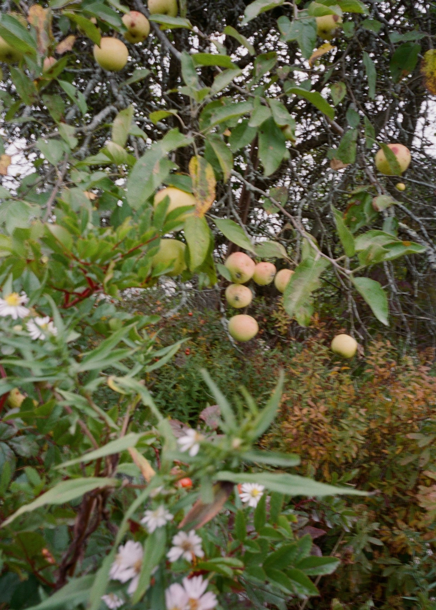 Sols Cliff House Wedding4.jpg