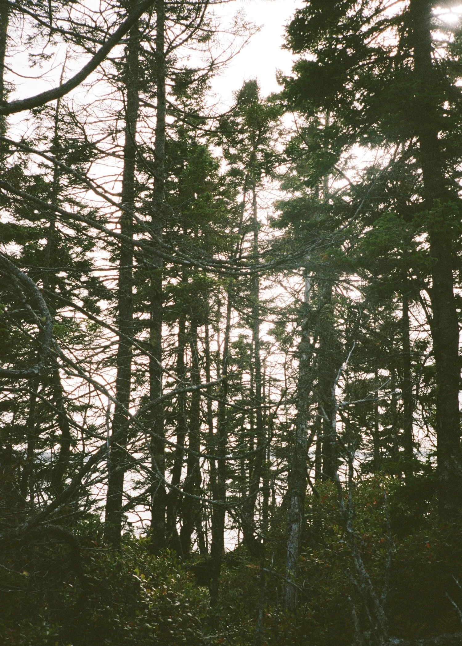 Sols Cliff House Wedding55.jpg