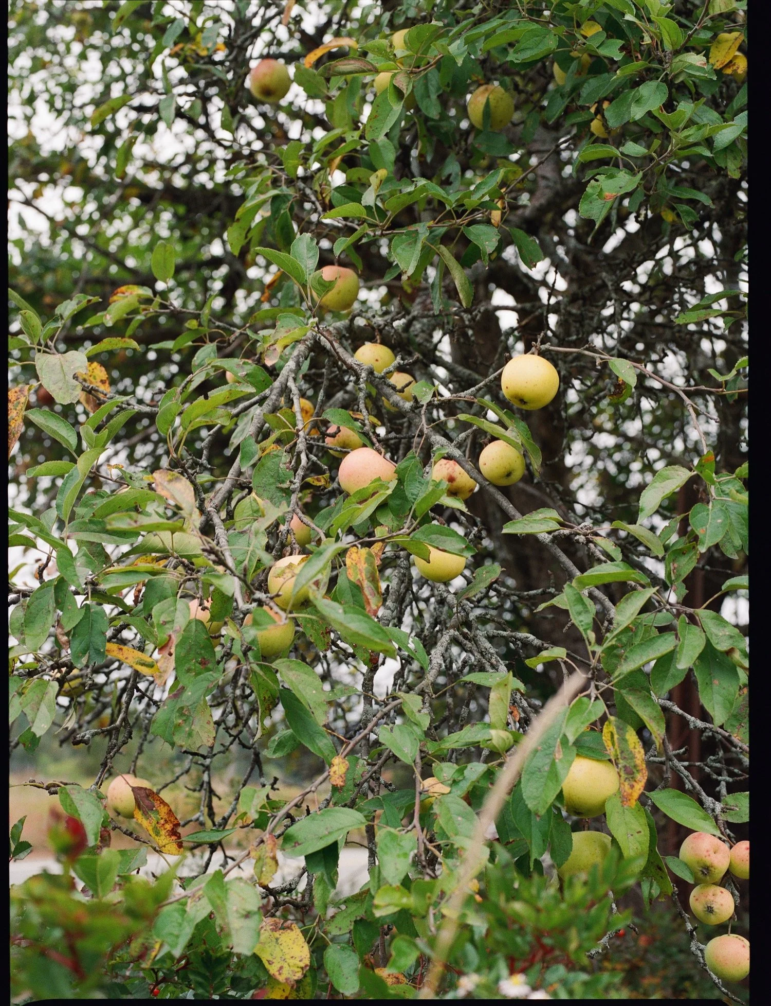 Sols Cliff House Wedding92.jpg