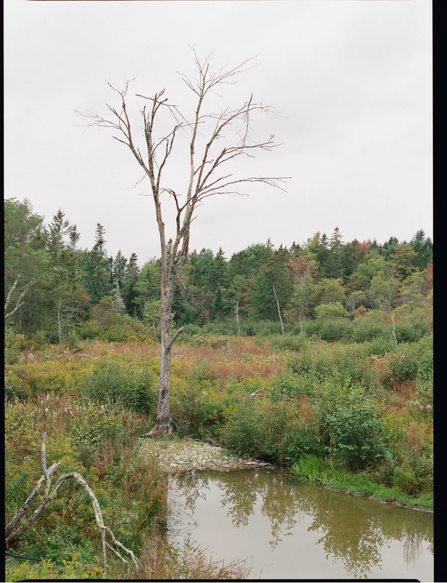 Sols Cliff House Wedding93.jpg