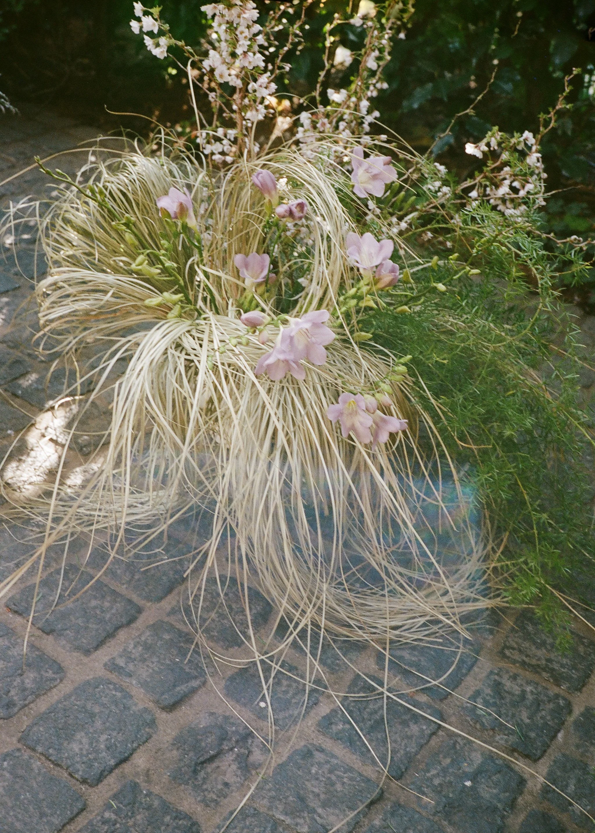 Alixann Loosle Photography251.JPG