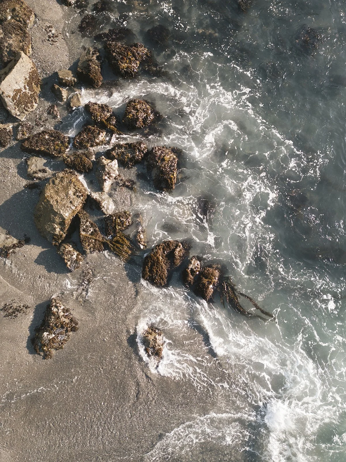 Alixann Loosle Photography254.JPG