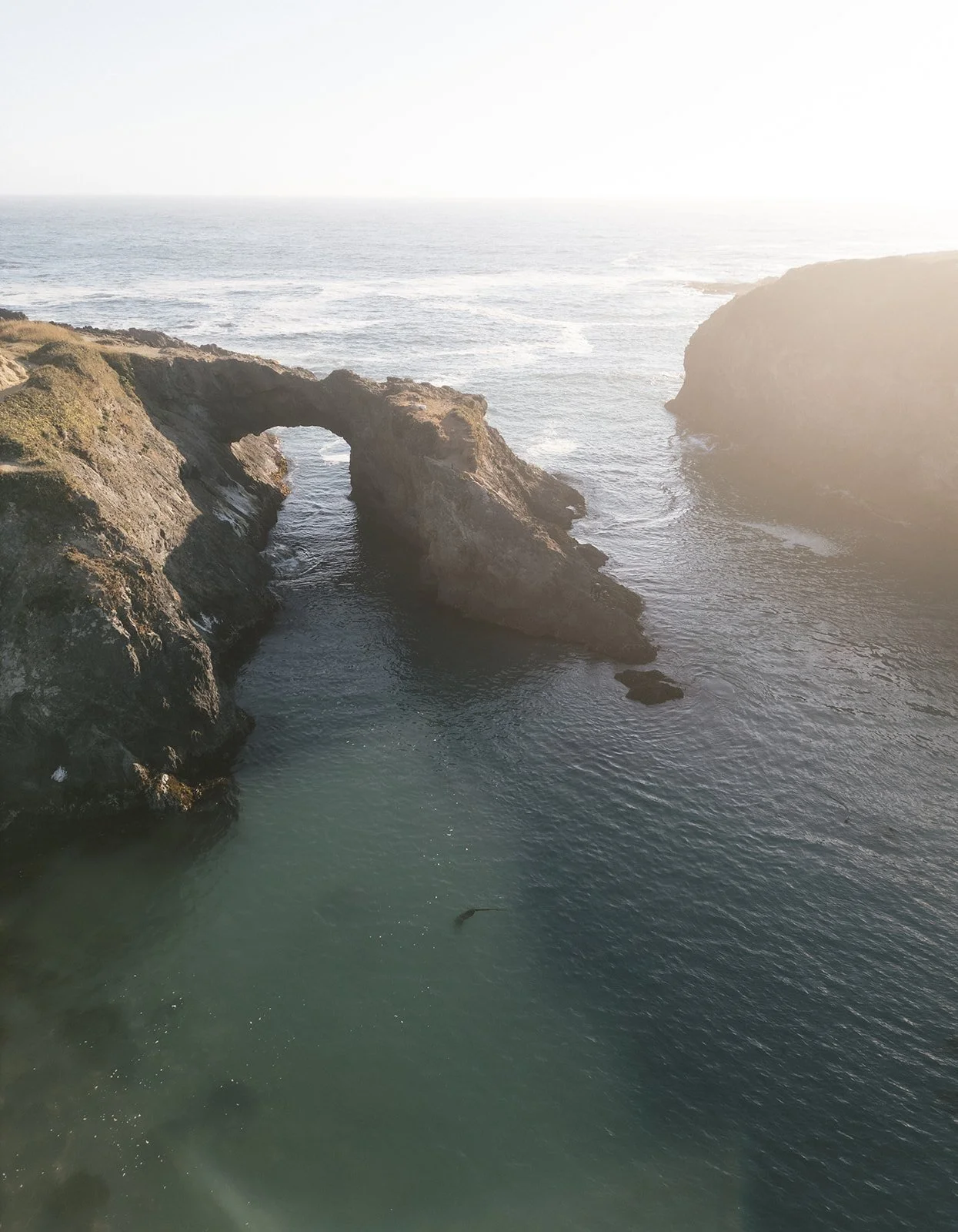 Alixann Loosle Photography255.JPG