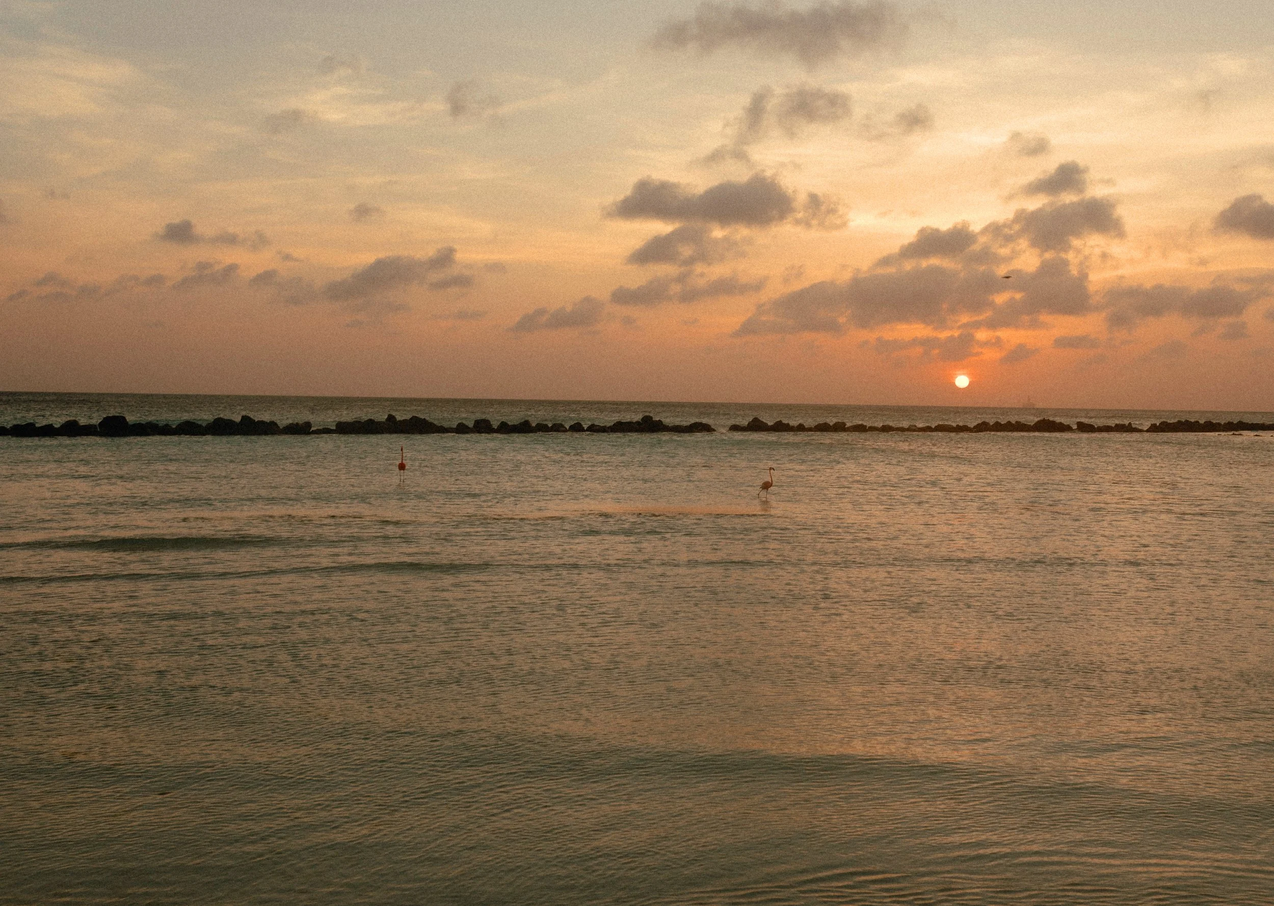 Alixann Loosle Photography38.jpg