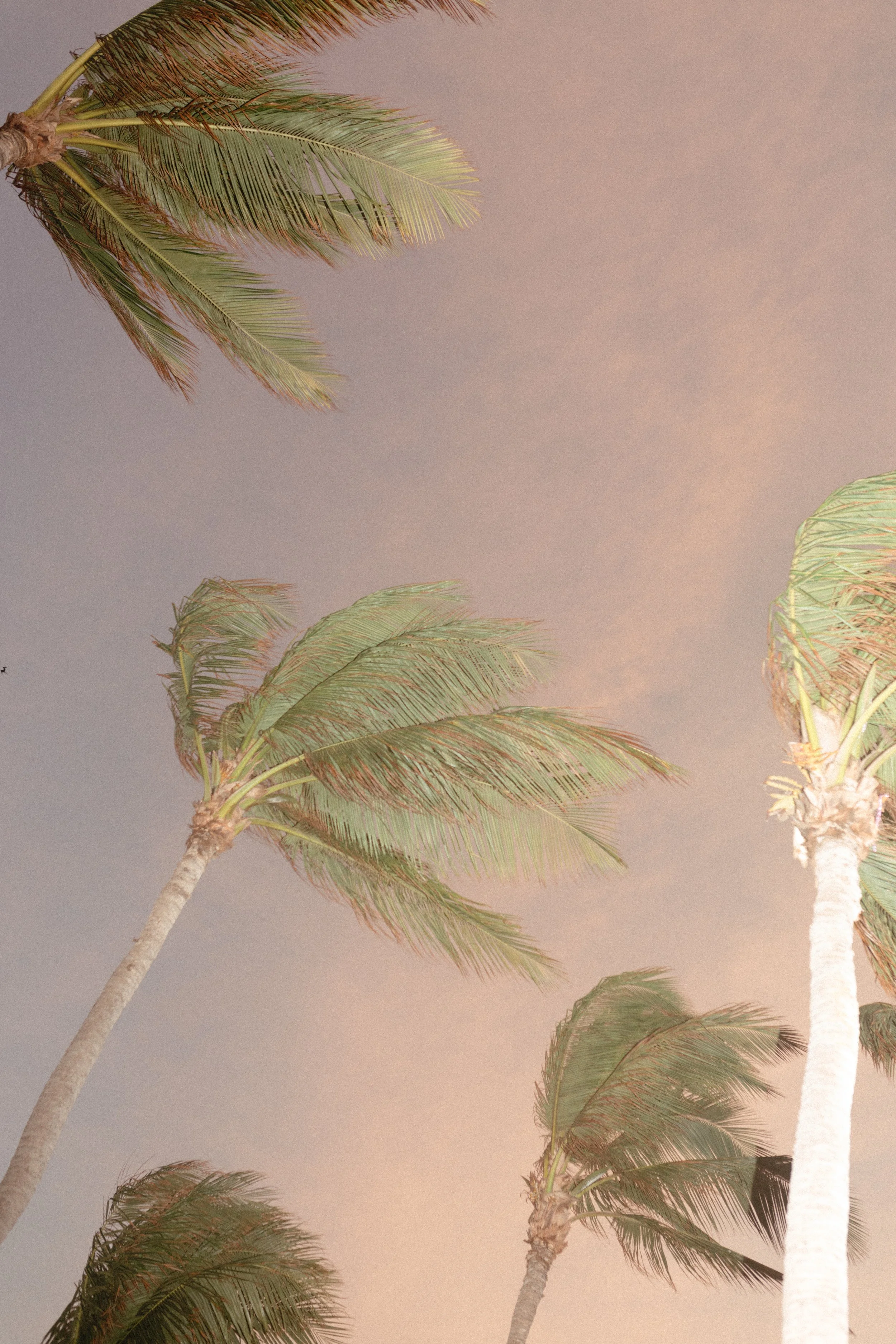 Alixann Loosle Photography40.jpg