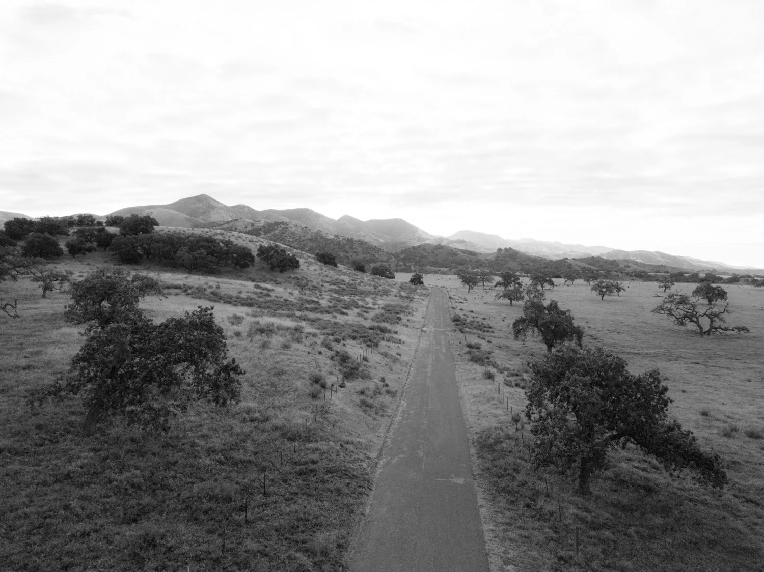 Zaca Lake Wedding1.jpg