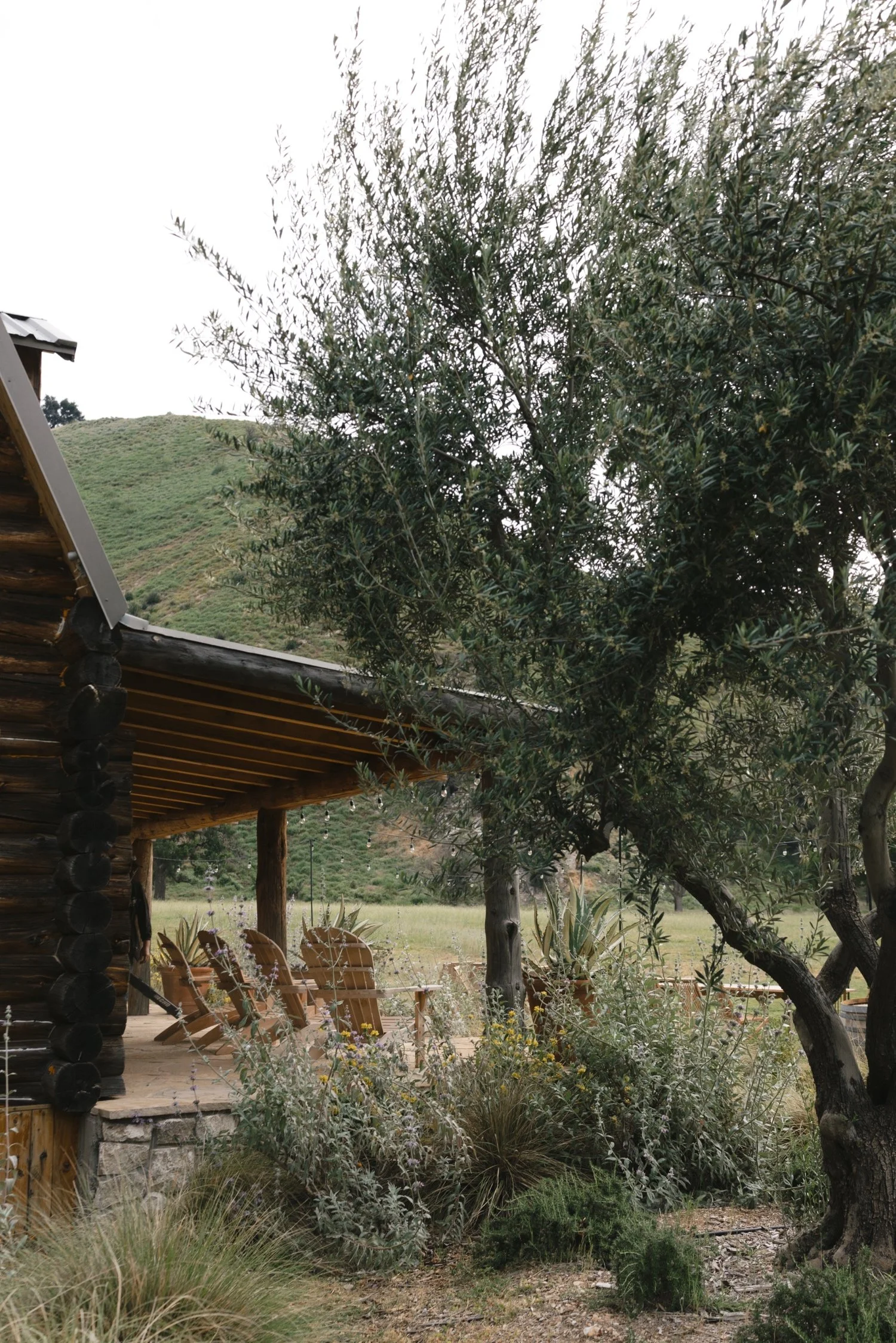 Zaca Lake Wedding8.jpg