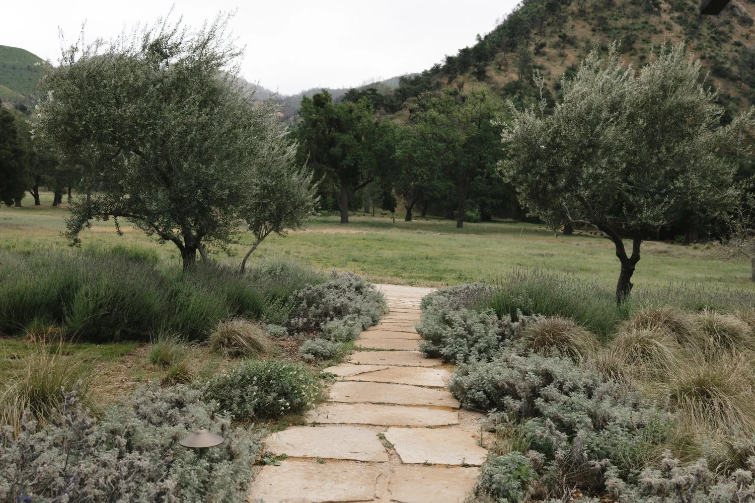 Zaca Lake Wedding12.jpg