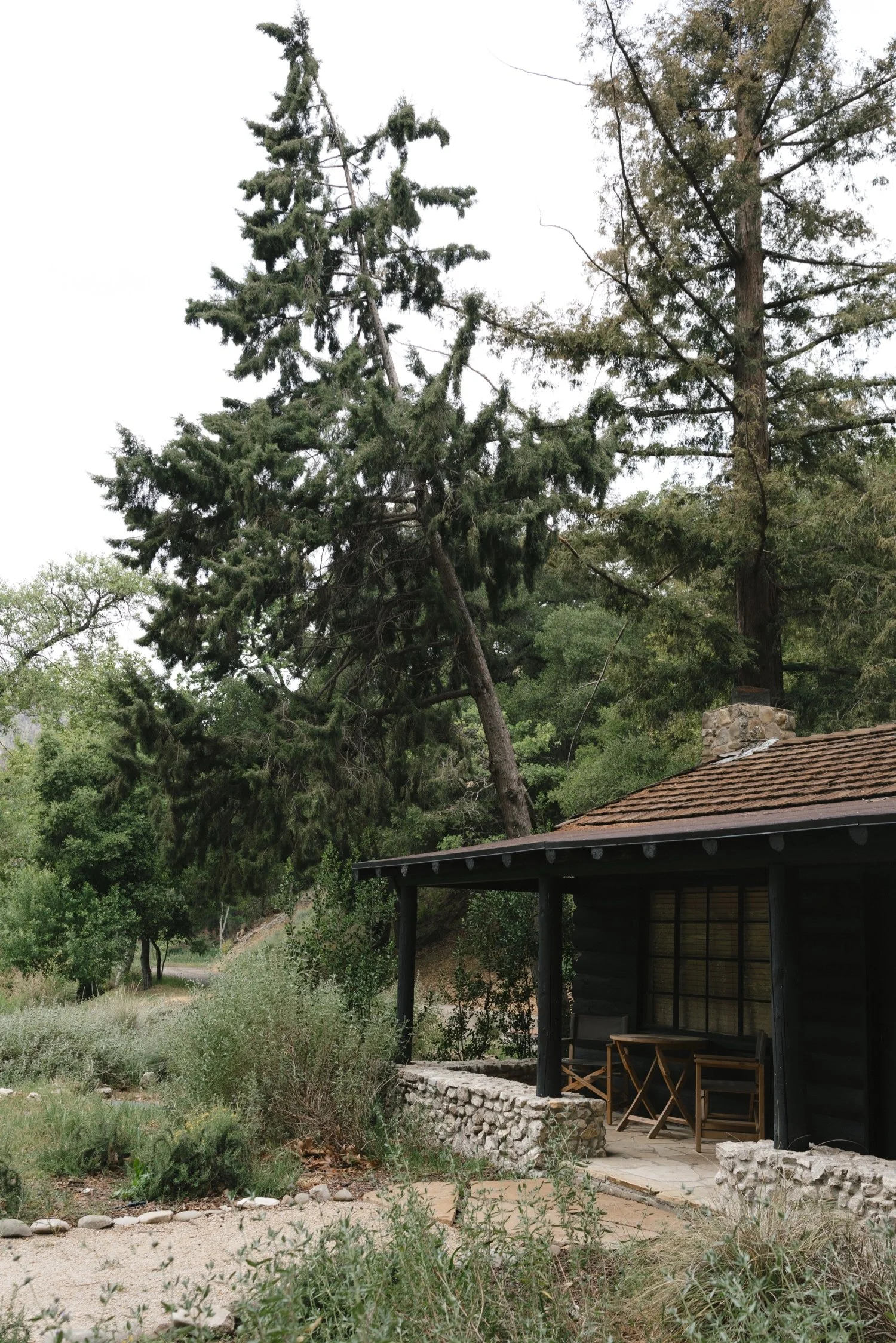 Zaca Lake Wedding13.jpg