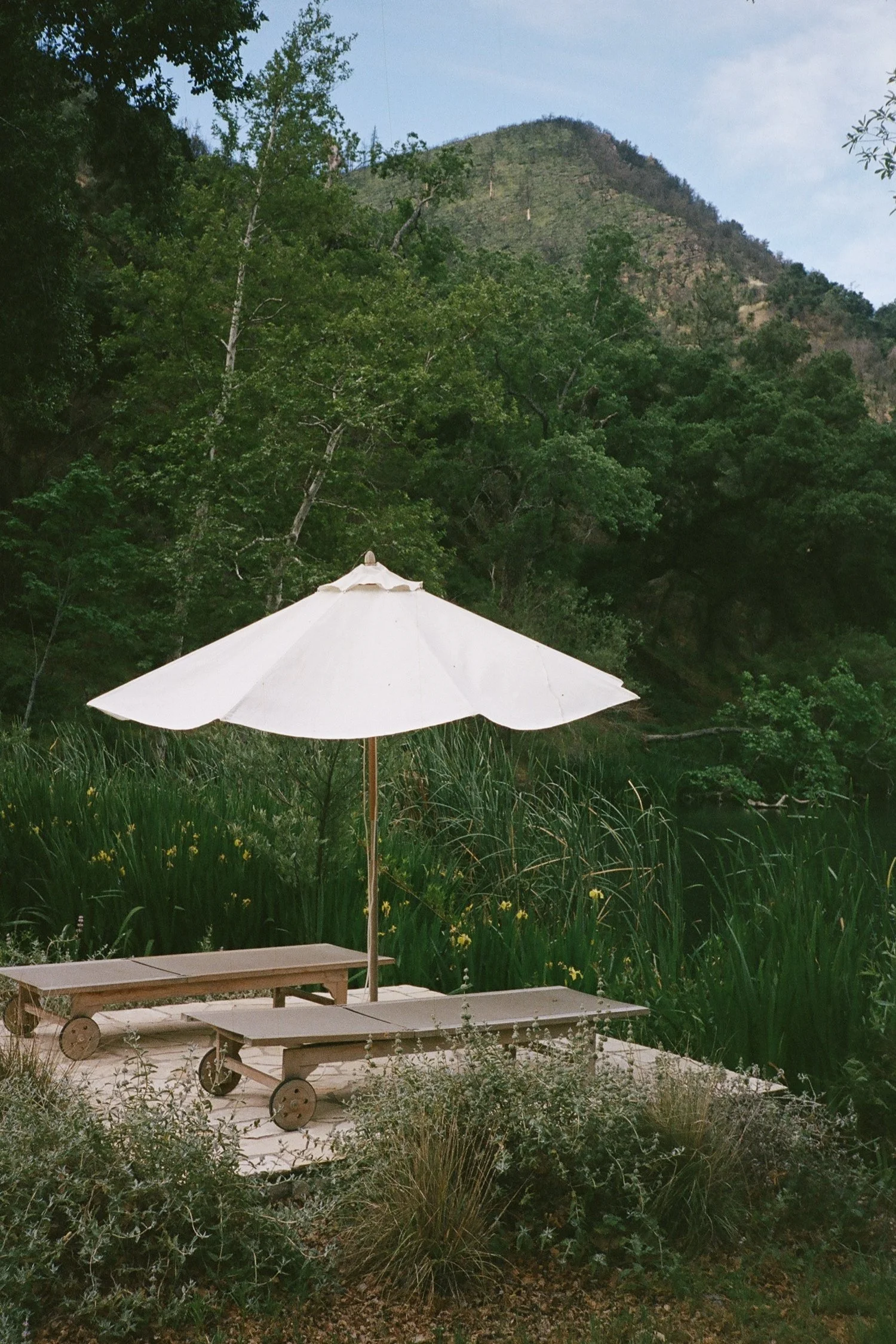 Zaca Lake Wedding16.jpg