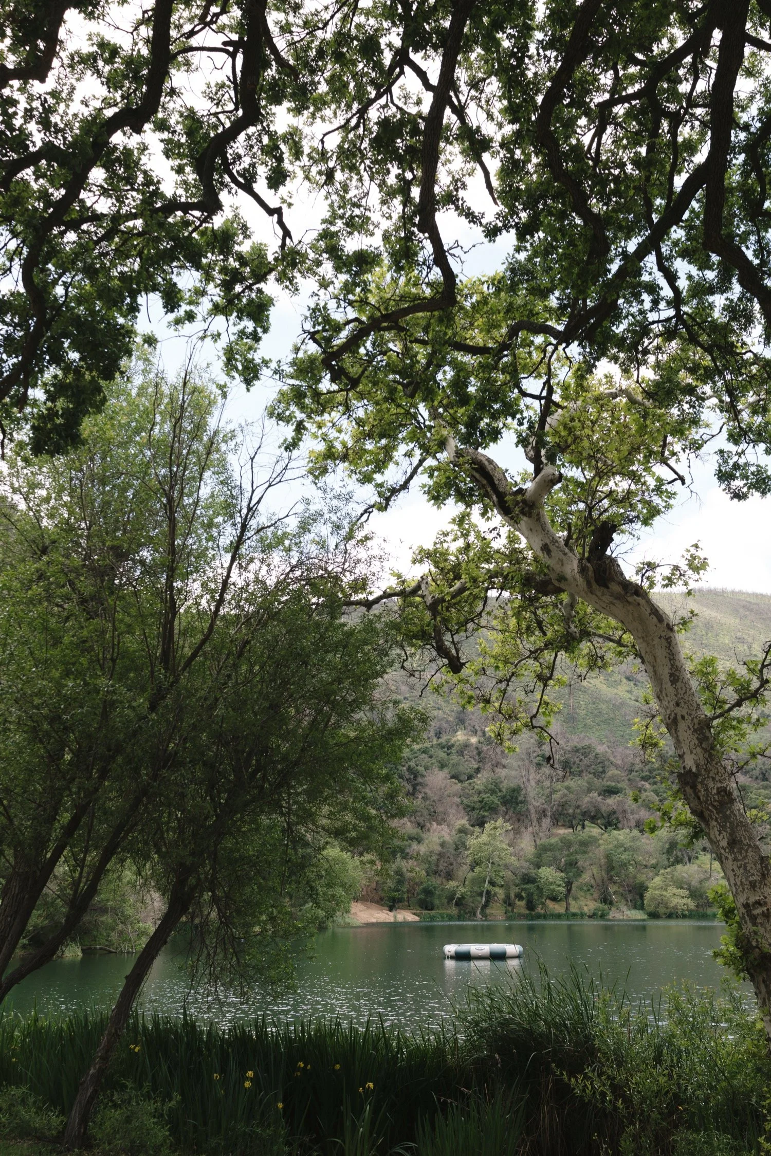 Zaca Lake Wedding17.jpg