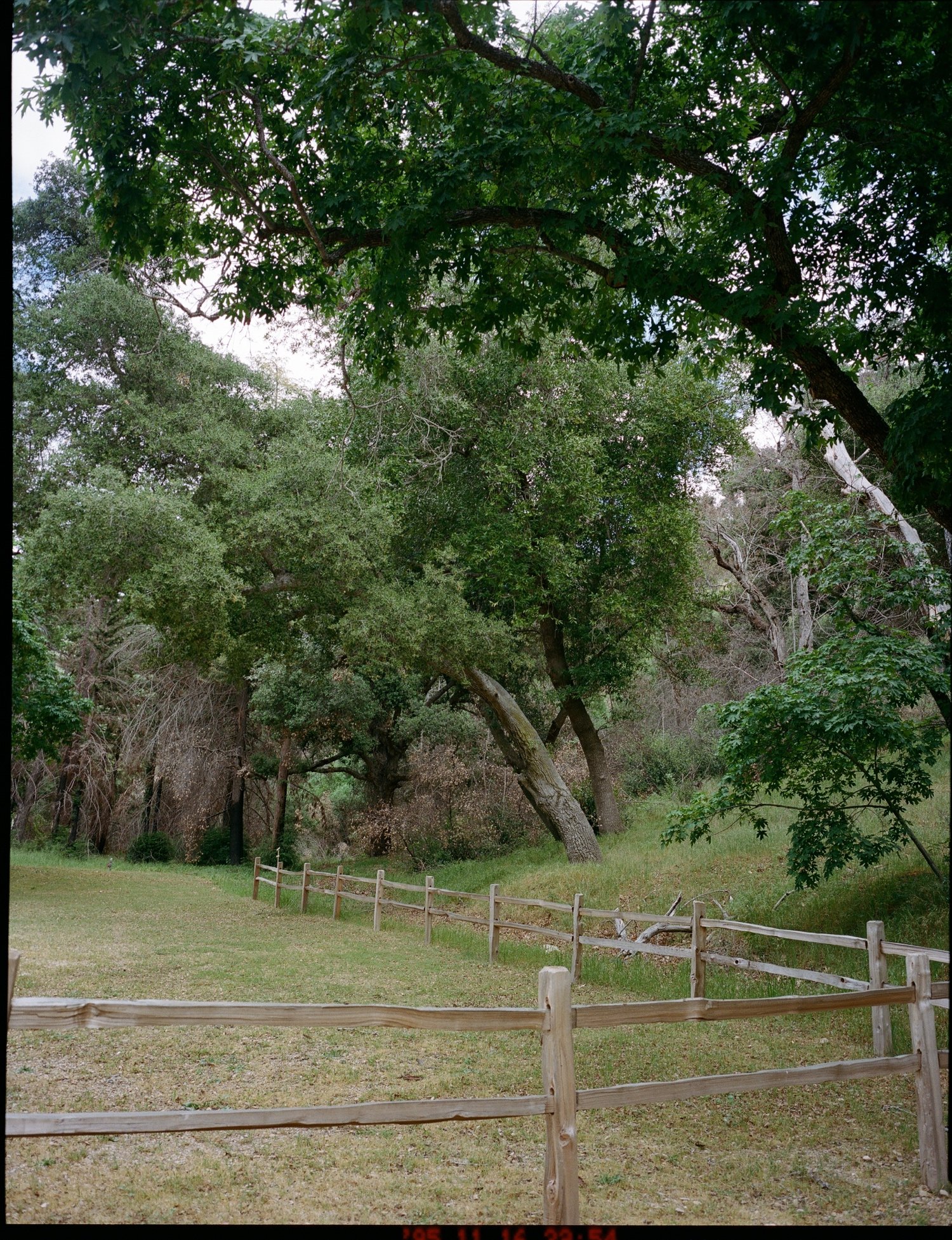 Zaca Lake Wedding18.jpg