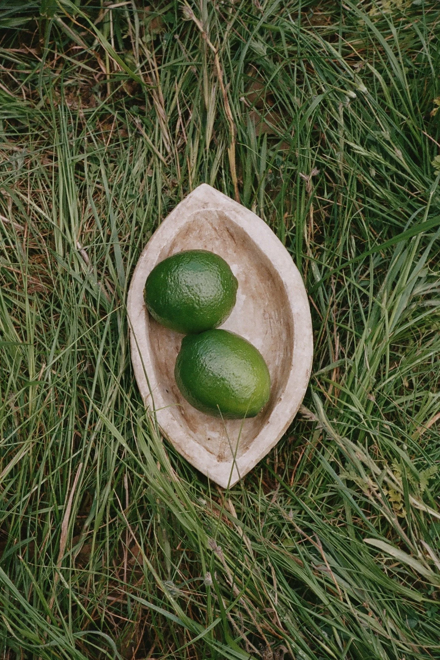 Zaca Lake Wedding44.jpg