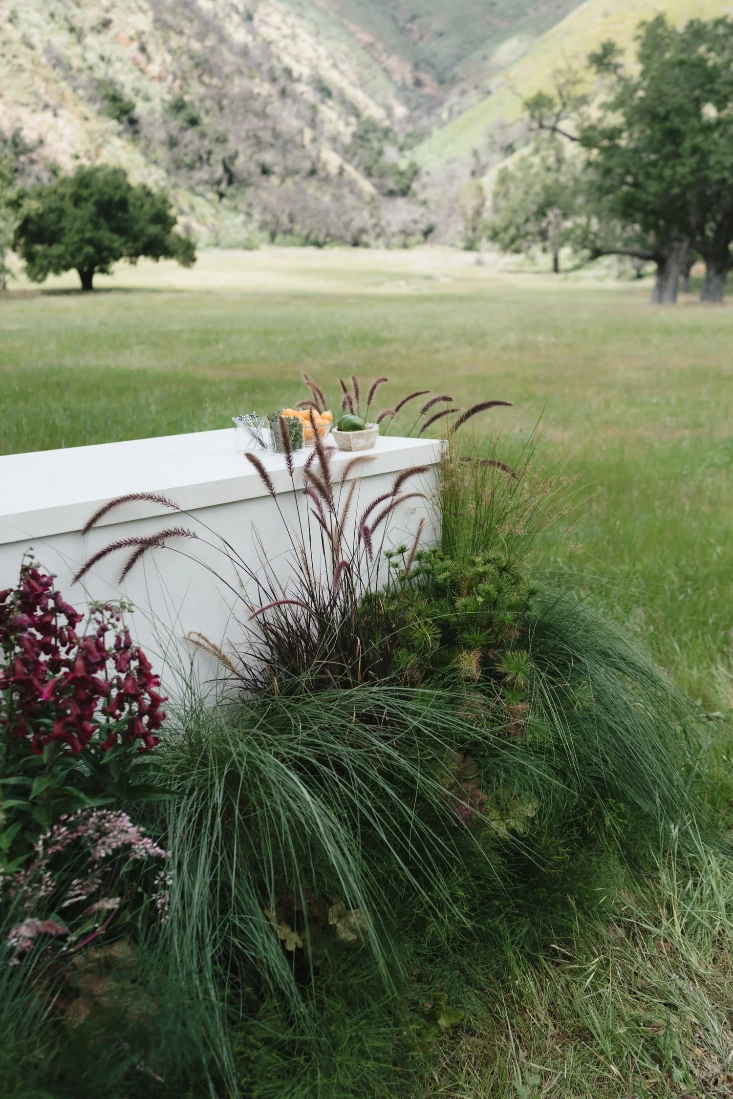 Zaca Lake Wedding45.jpg