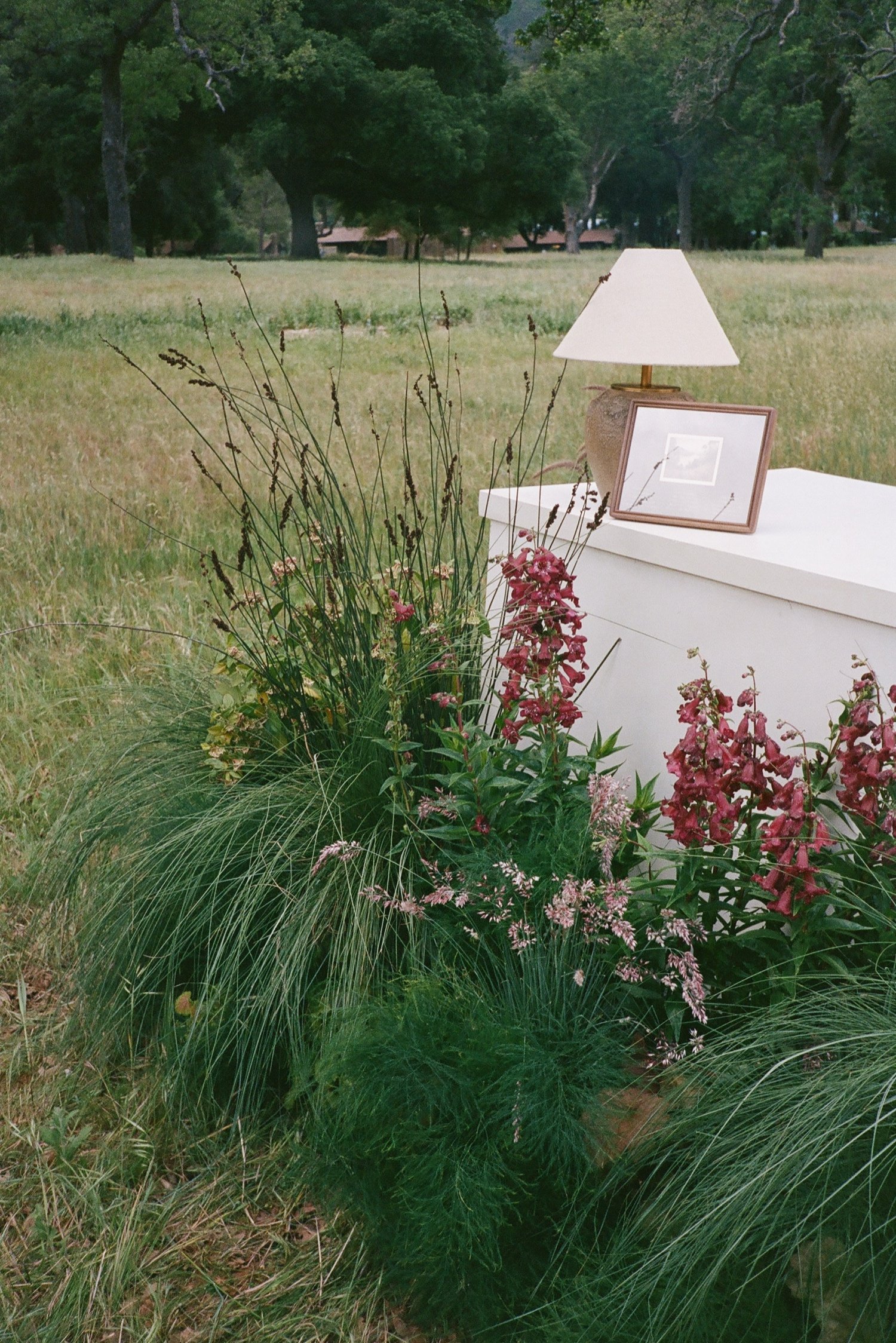 Zaca Lake Wedding46.jpg