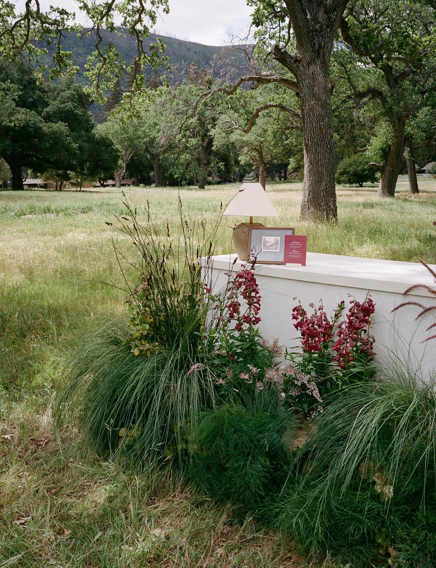 Zaca Lake Wedding51.jpg