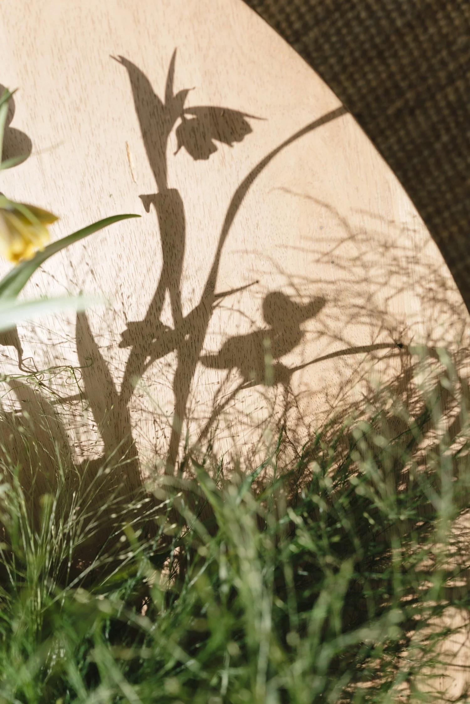 Zaca Lake Wedding79.jpg