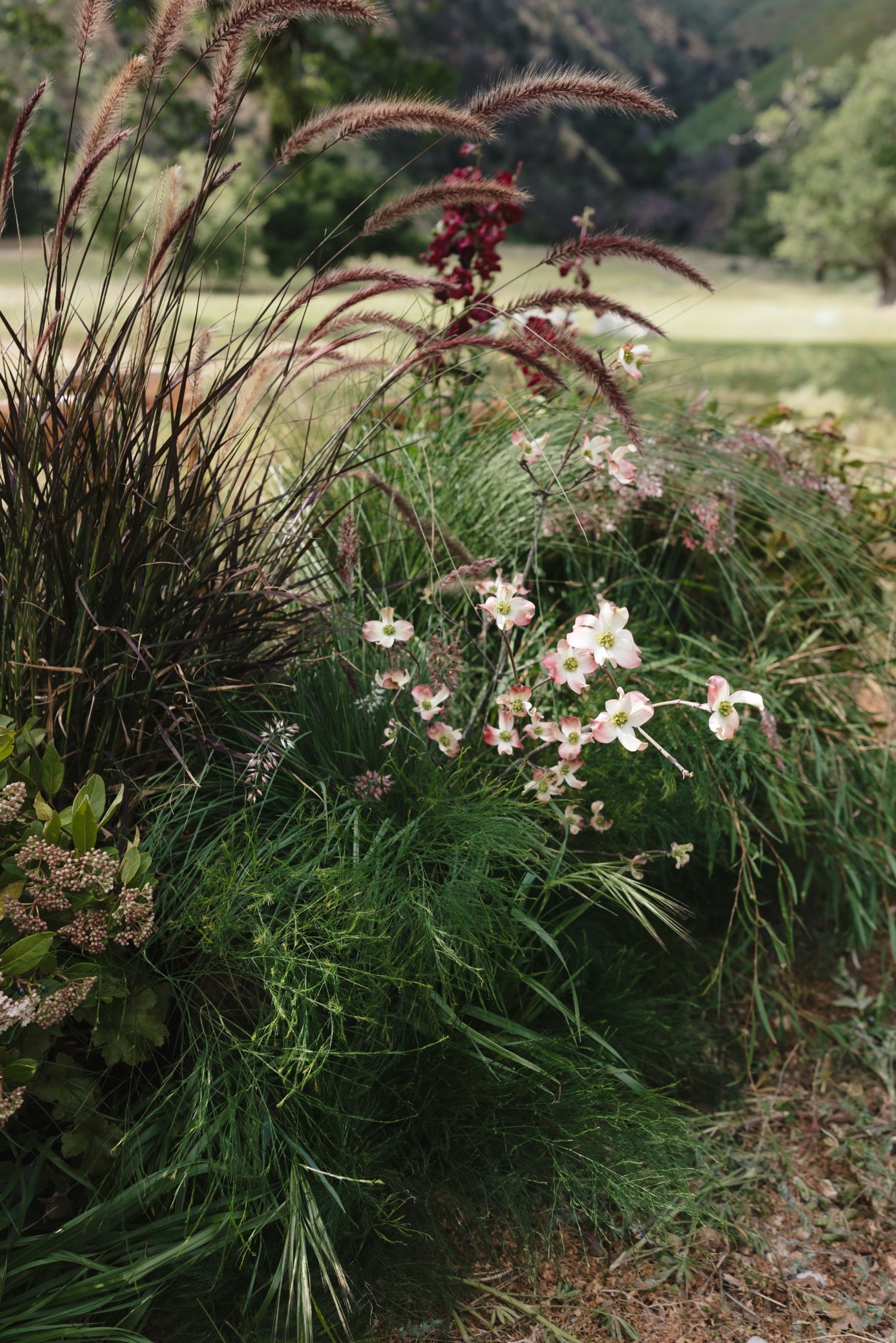Zaca Lake Wedding92.jpg