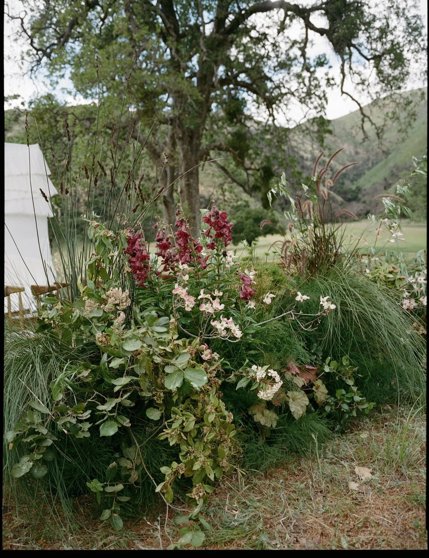 Zaca Lake Wedding93.jpg
