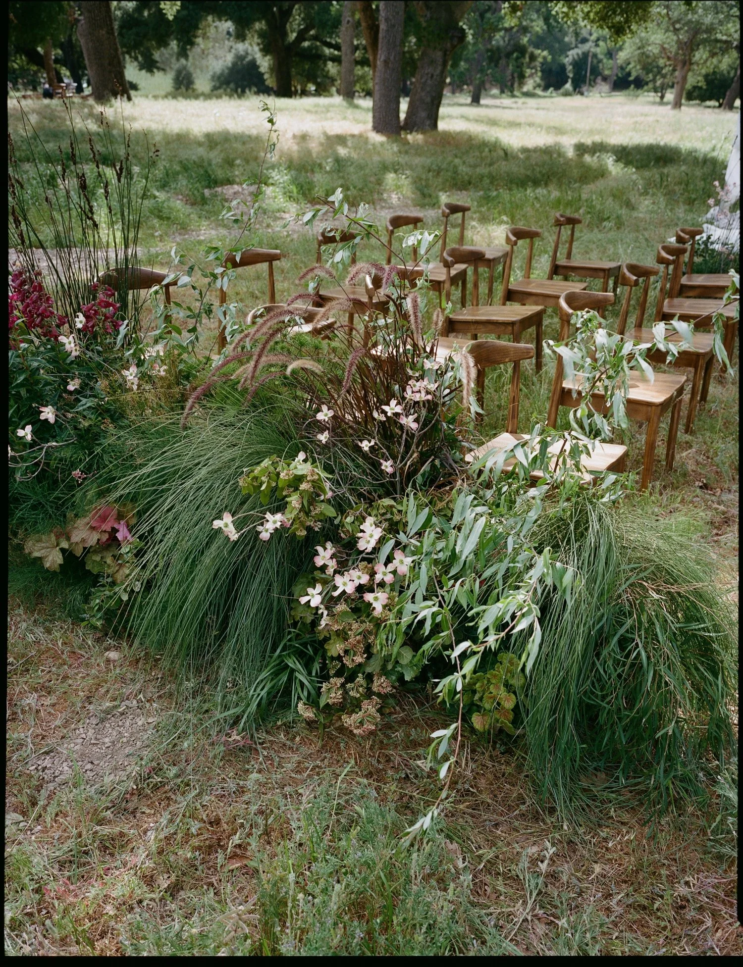 Zaca Lake Wedding99.jpg