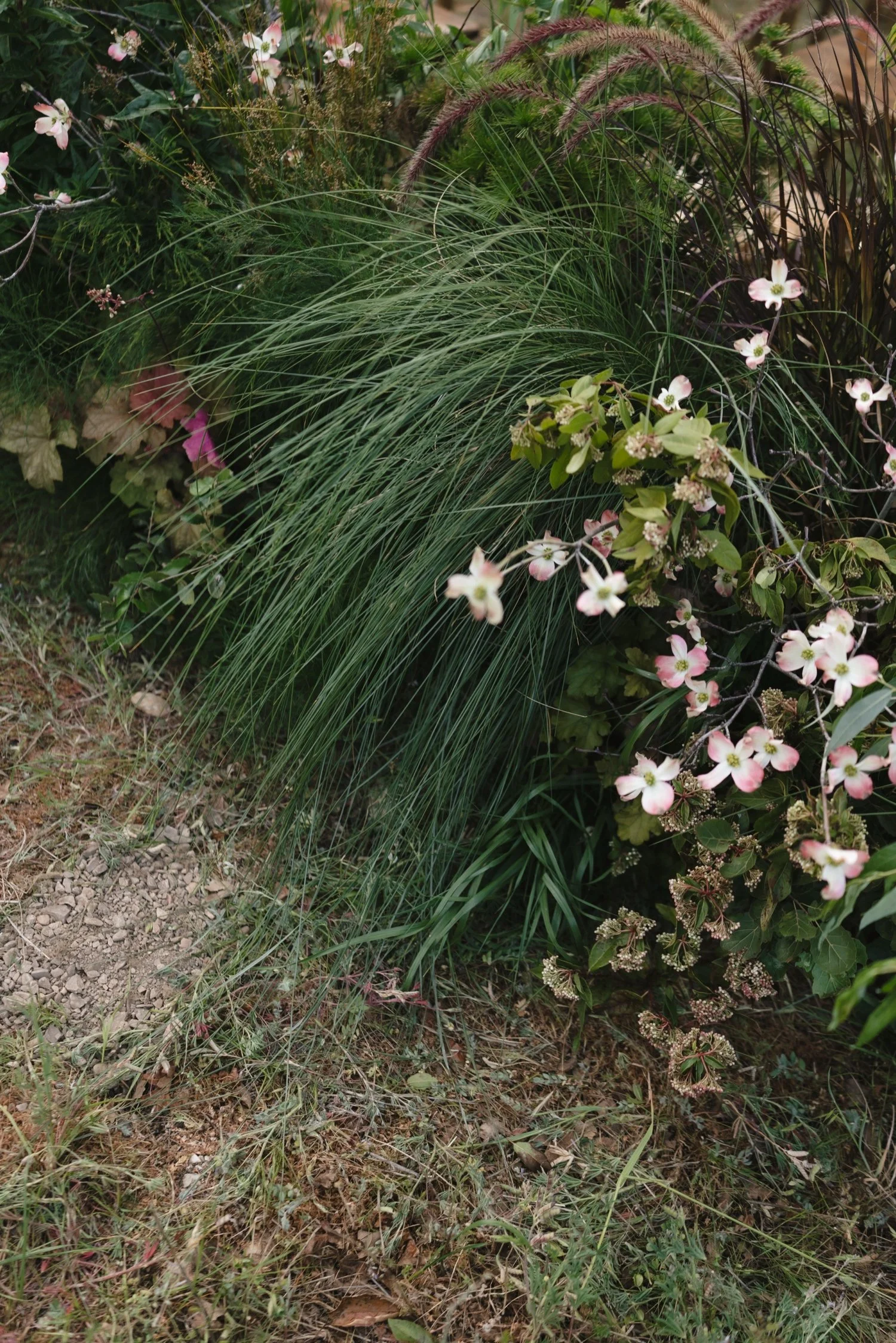 Zaca Lake Wedding100.jpg