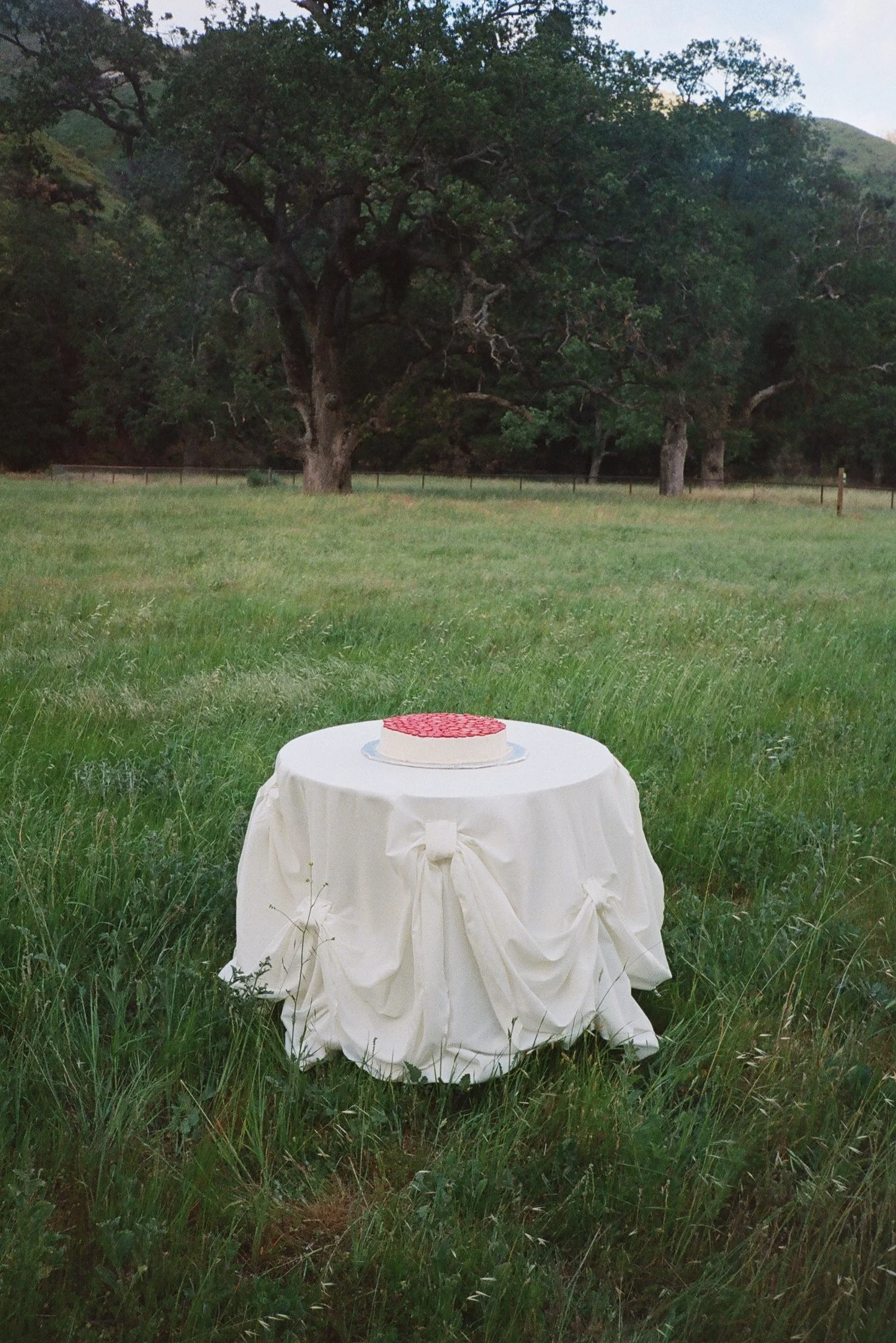 Zaca Lake Wedding132.jpg