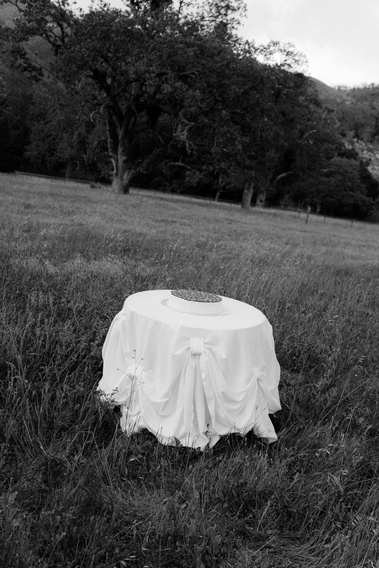 Zaca Lake Wedding134.jpg