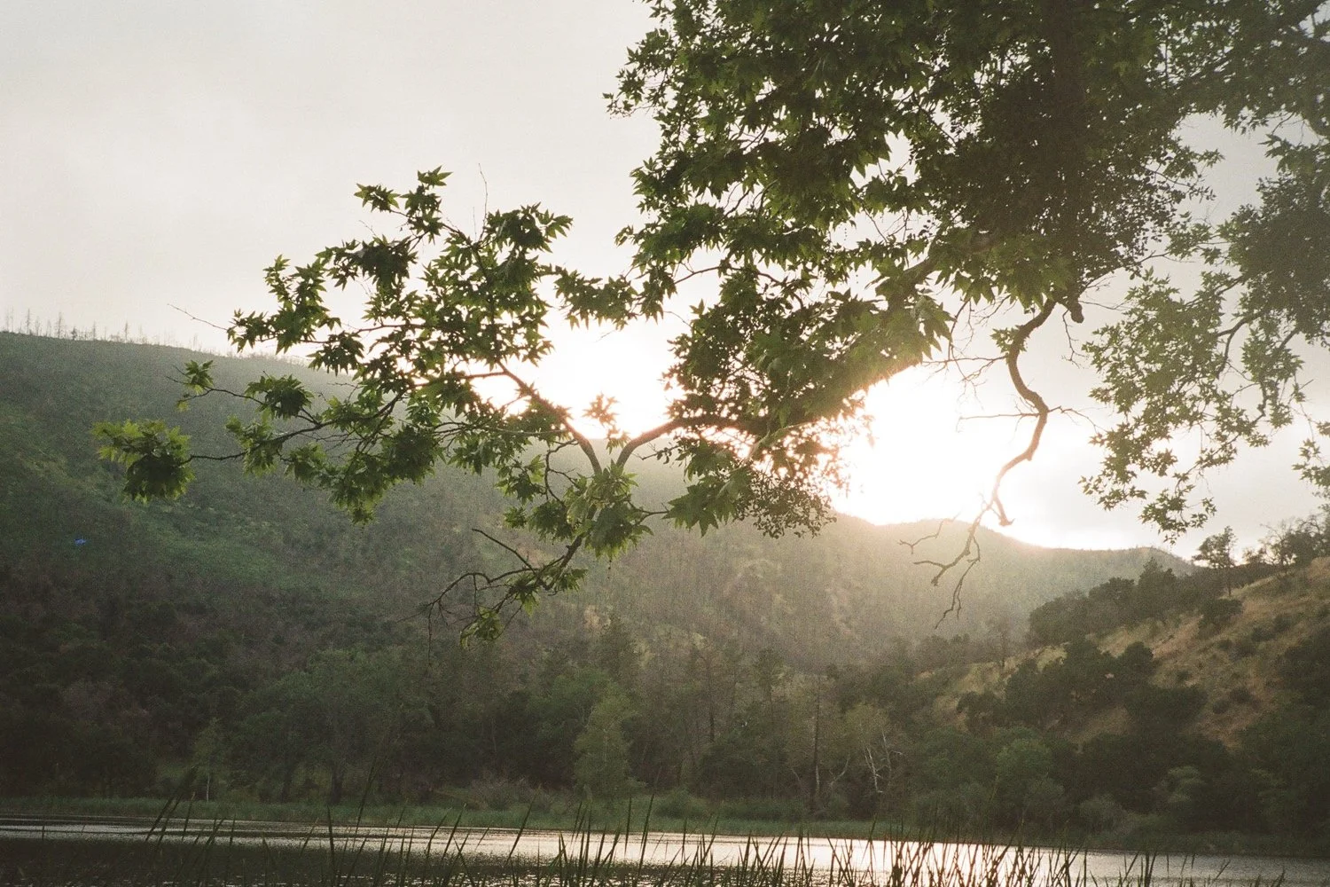 Zaca Lake Wedding162.jpg