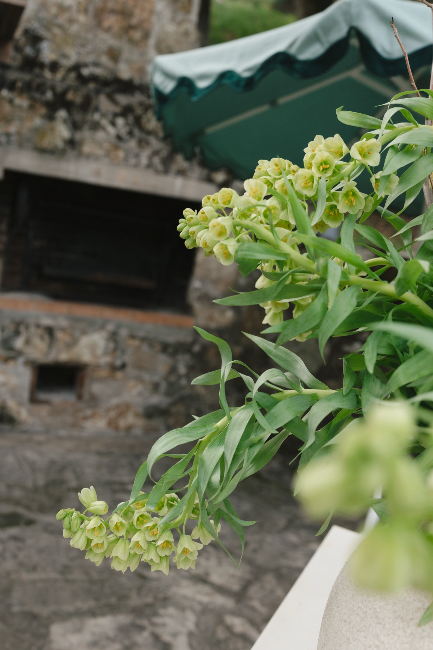 Zaca Lake Wedding230.jpg